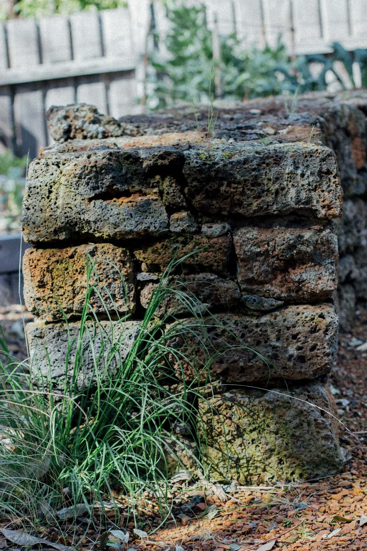 A stack of old, textured bricks with moss and small plants growing around the base.