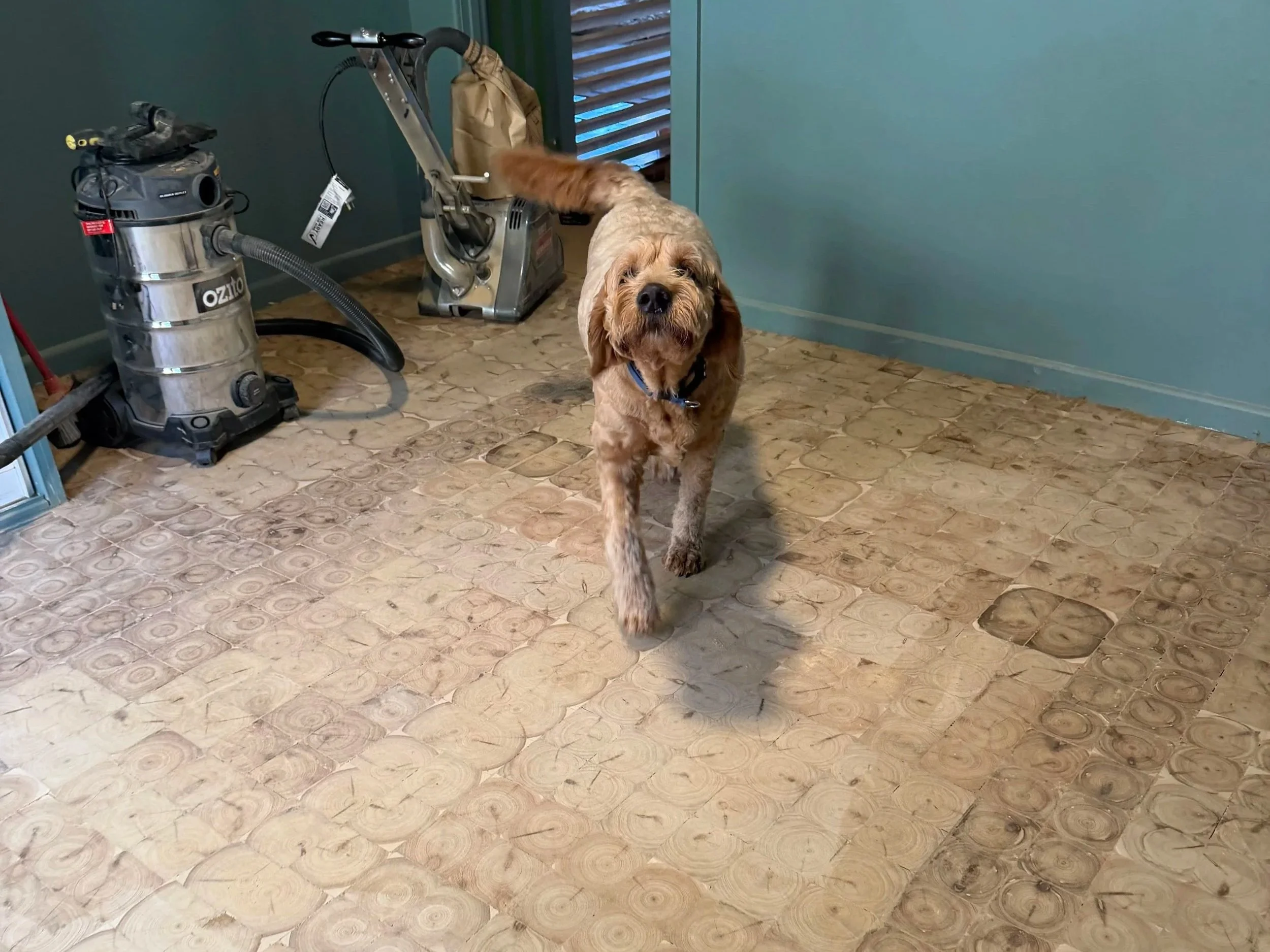 Layers of Growth, Seasoned by Time