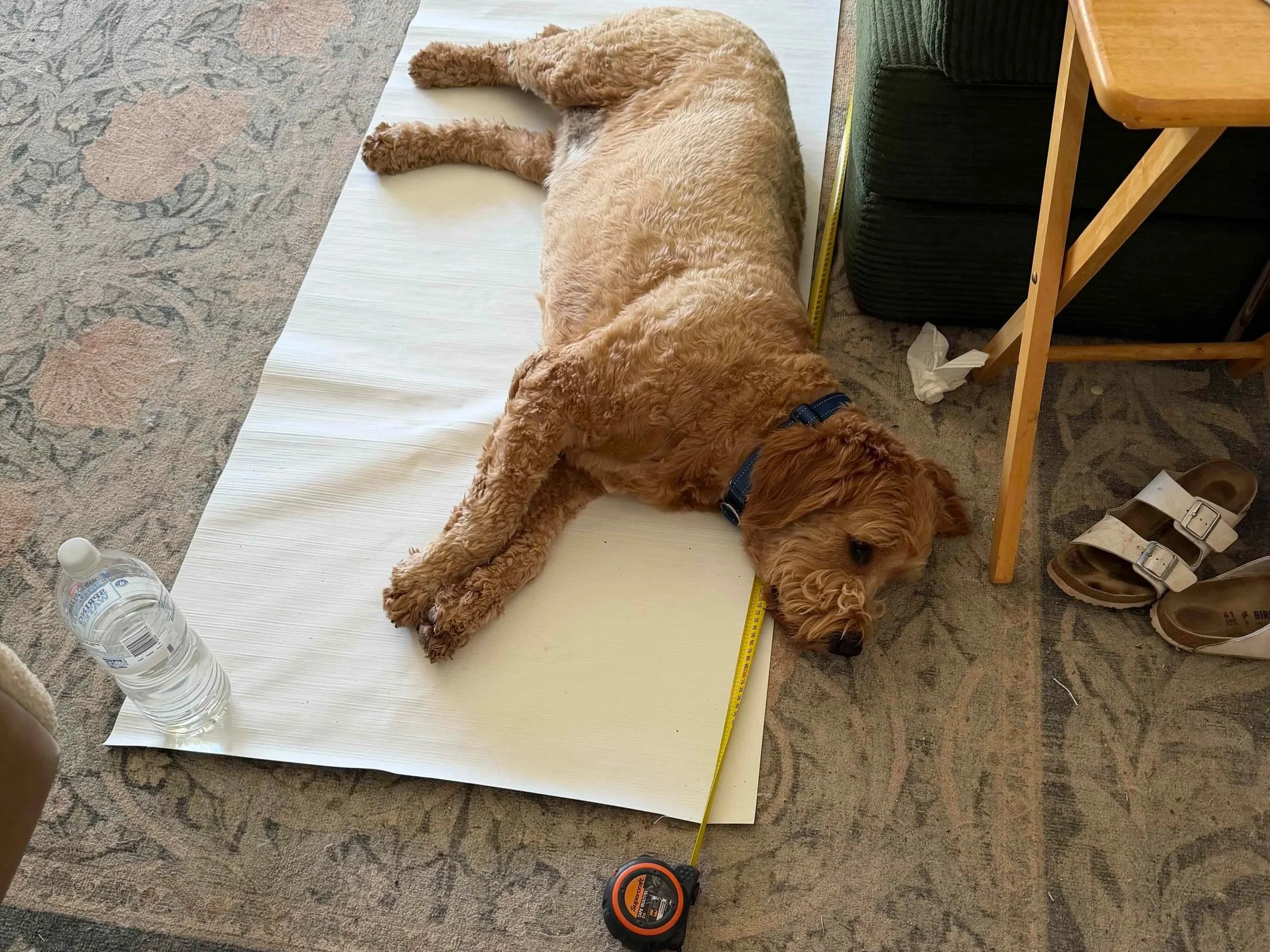 DIY &amp; Values – A Life to Love at Any Age