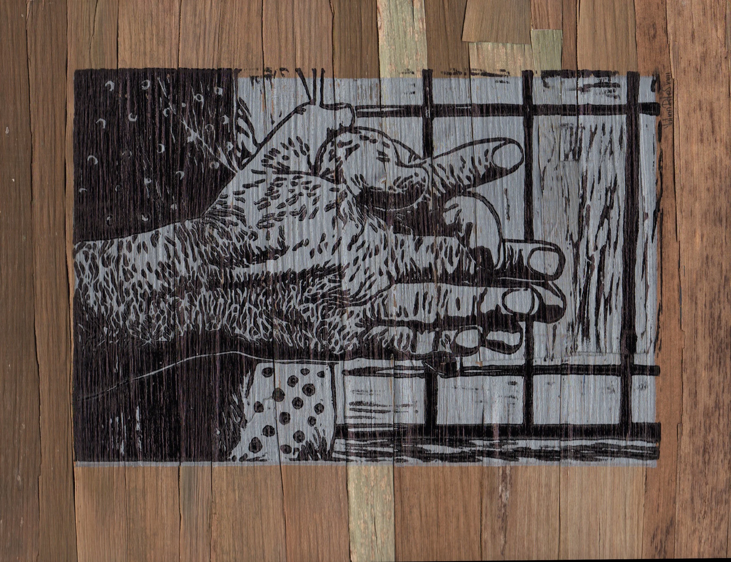 Piel ancestral 1.jpeg