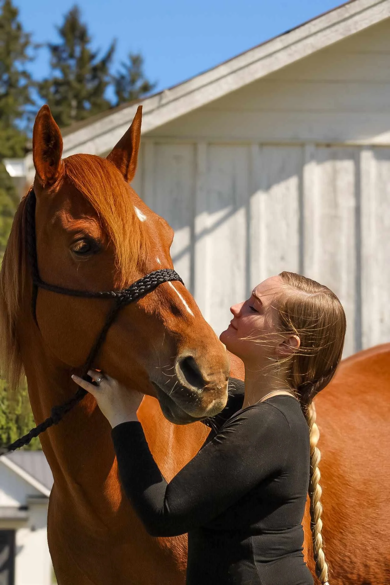 Structural Integration Series