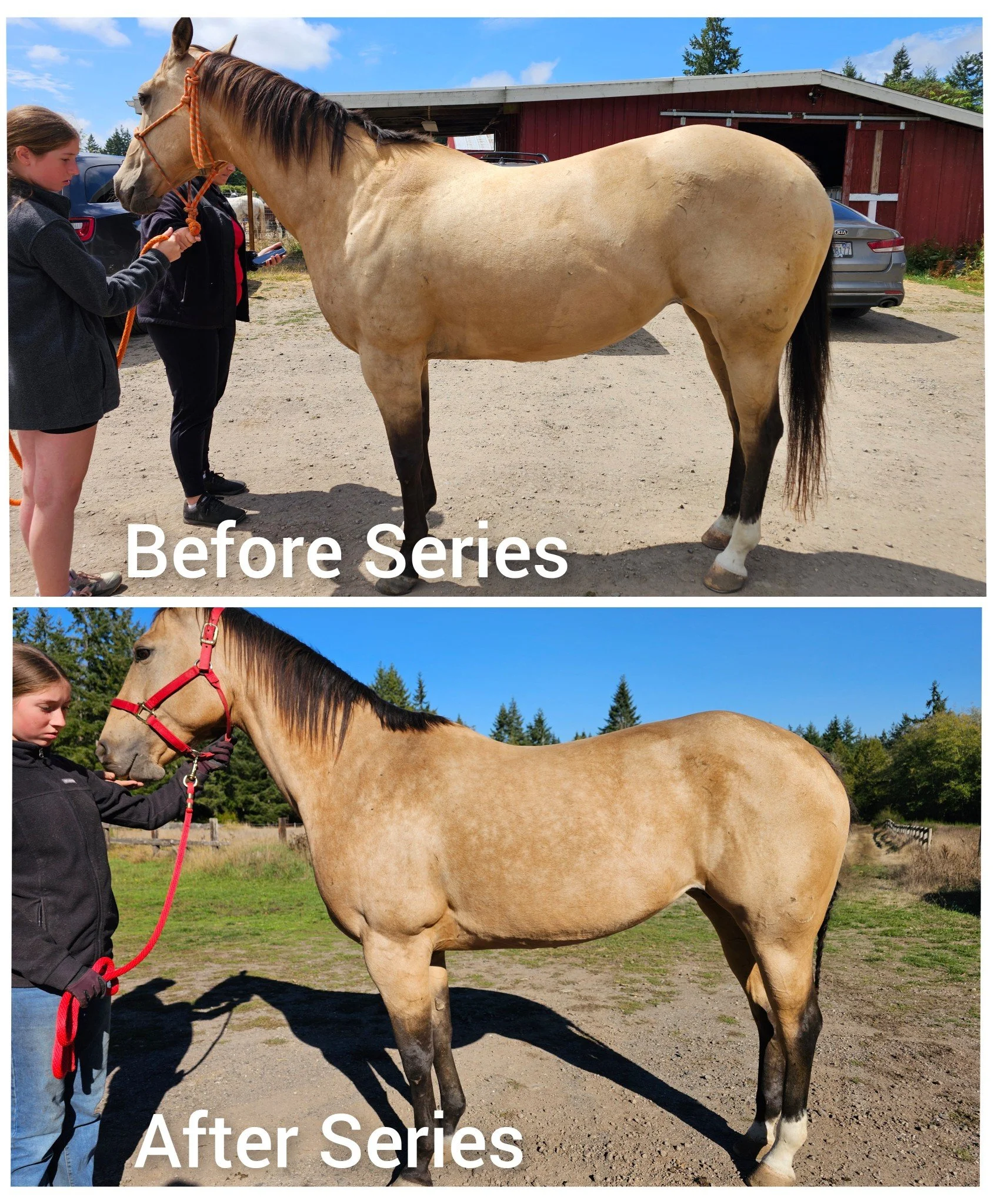 Structural integration Series