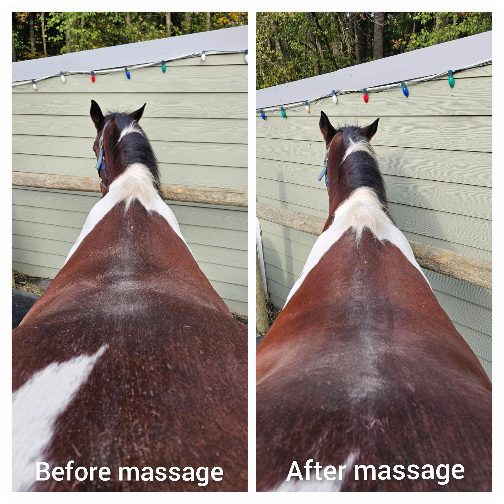 Massage2.jpg