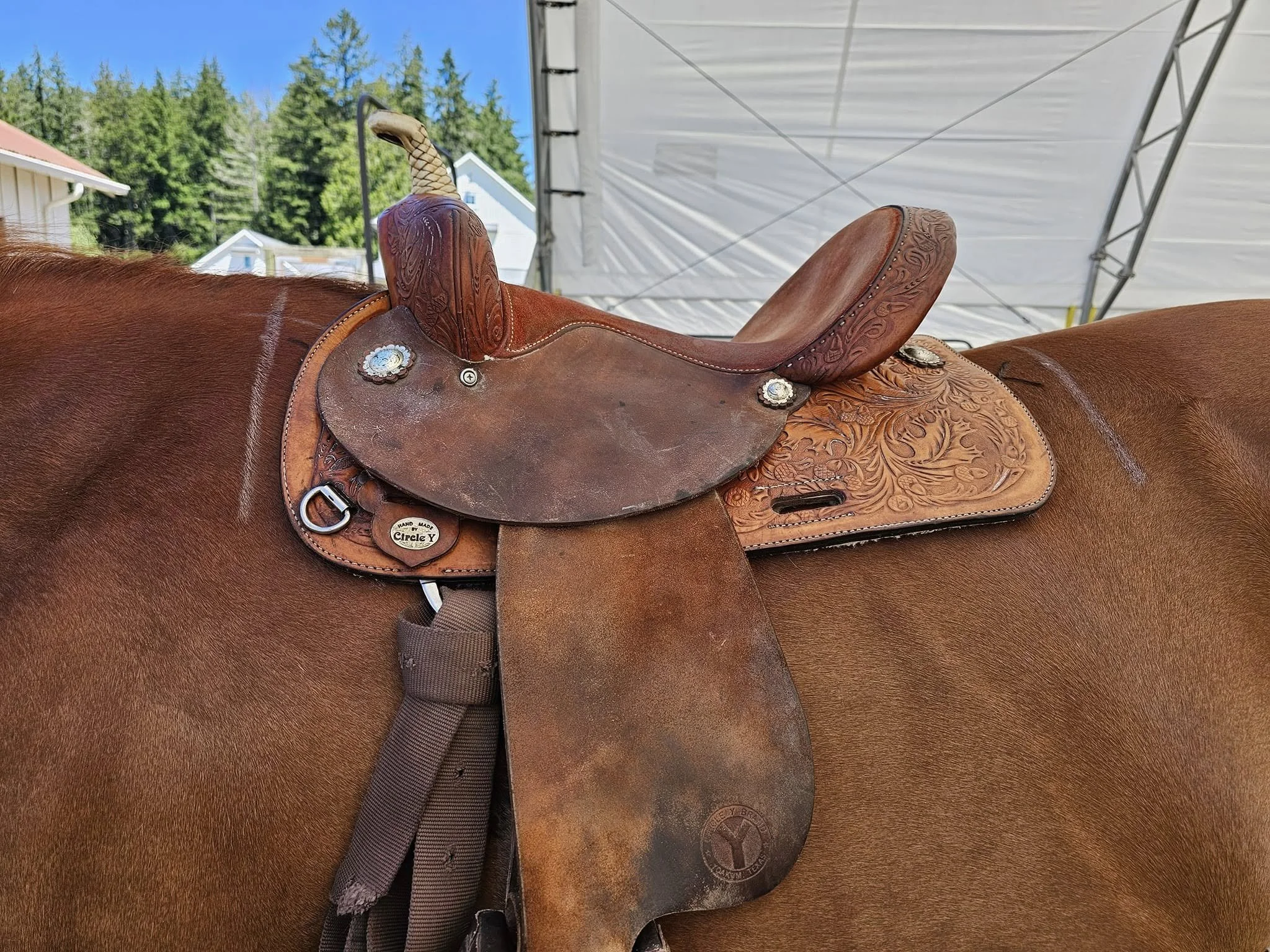 Saddle Fitting