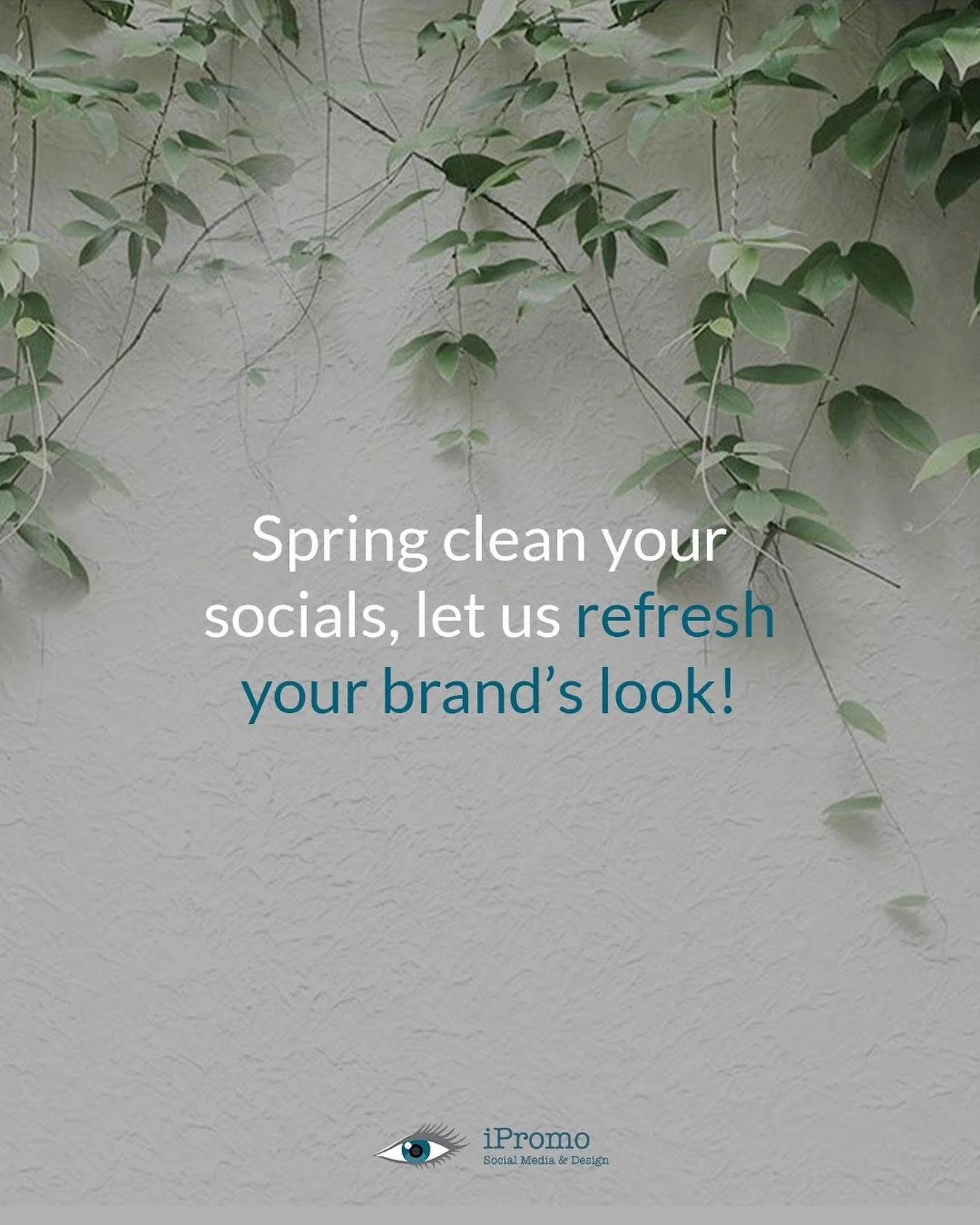 Spring is nearly here - the perfect time to give your socials a fresh new look 🌿

At iPromo Social Media &amp; Design, we help businesses refresh, refine, and re-energise their online presence ✨ 

👉 Ready to transform your brand? Let&rsquo;s chat t