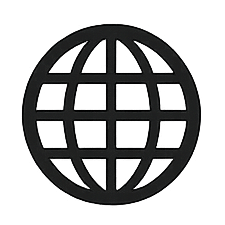 Icon of a globe with latitude and longitude lines
