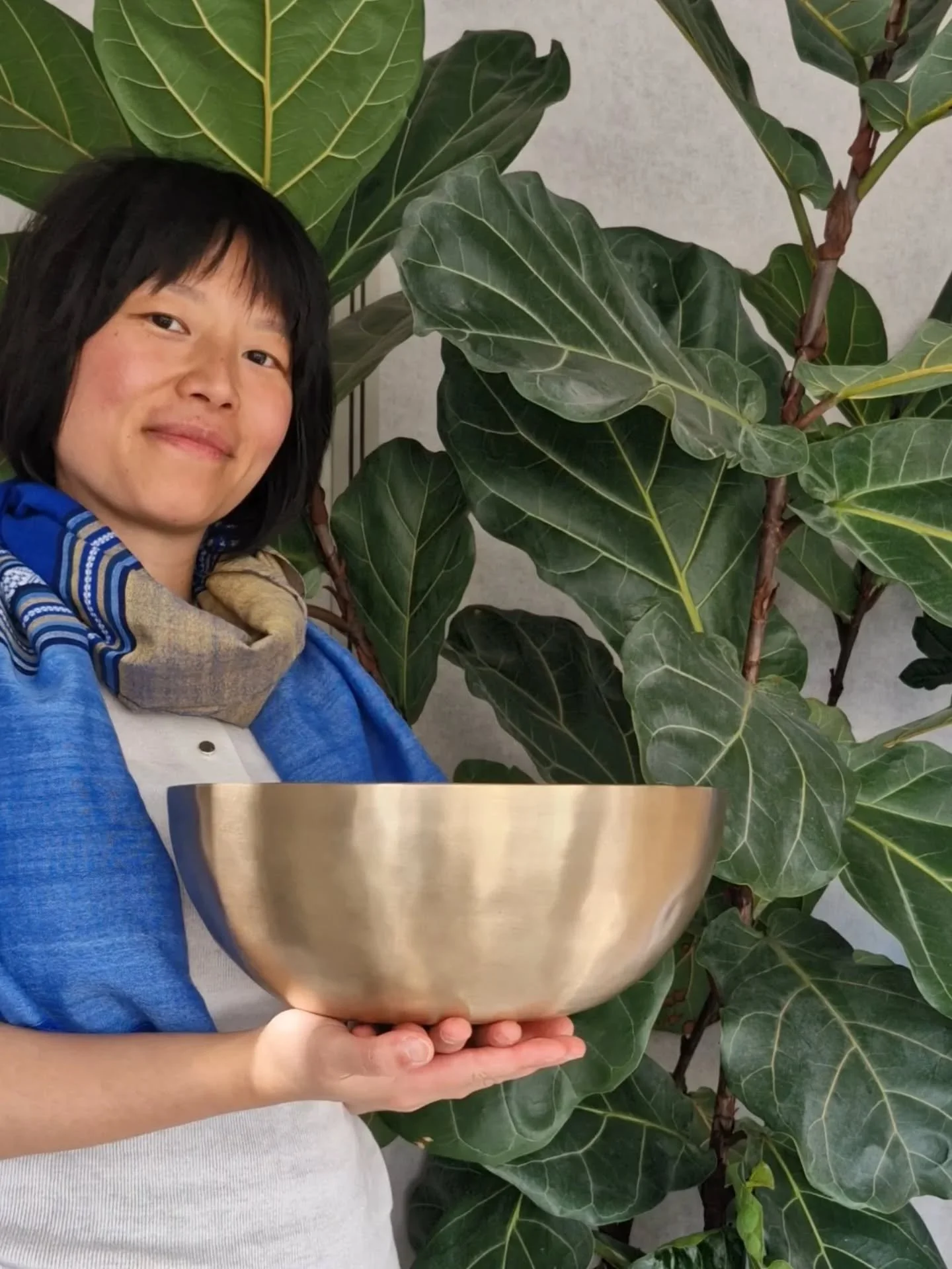 hello 🙋🏻&zwj;♀️ and welcome

here i am posing with a beautiful resident of the @movewiseosteopathy -- a gorgeous fiddle leaf fig tree that will be greeting you when you first walked in to the clinic.

i am offering regular Peter Hess Sound Massage 
