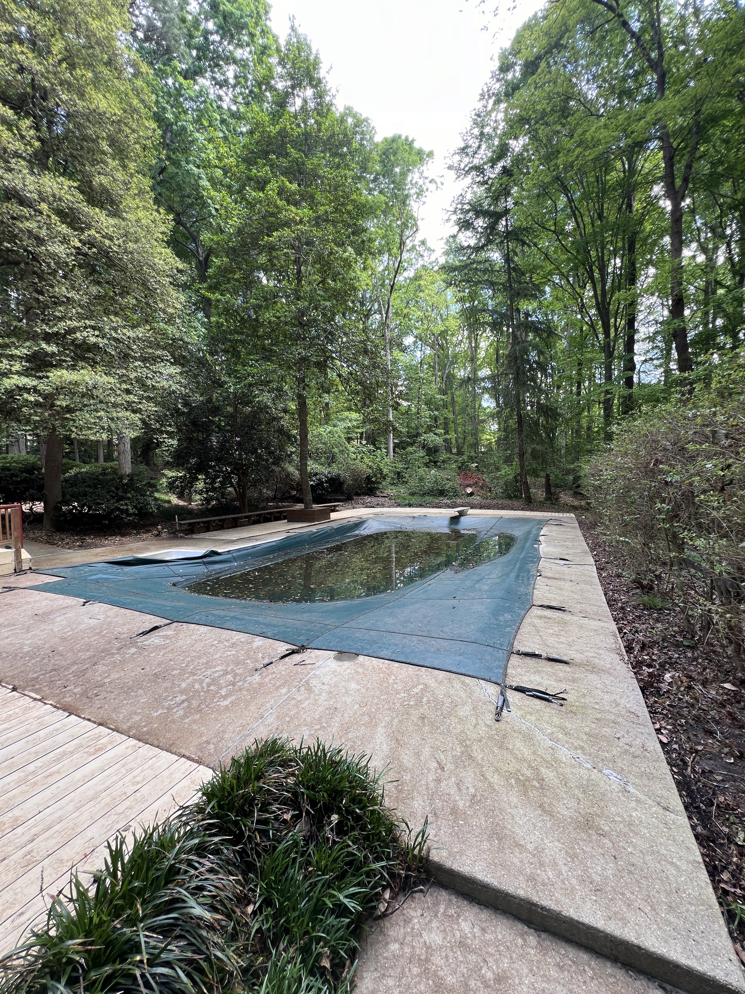 An outdoor swimming pool covered by a blue tarp in a wooded backyard, surrounded by lush green trees and bushes.