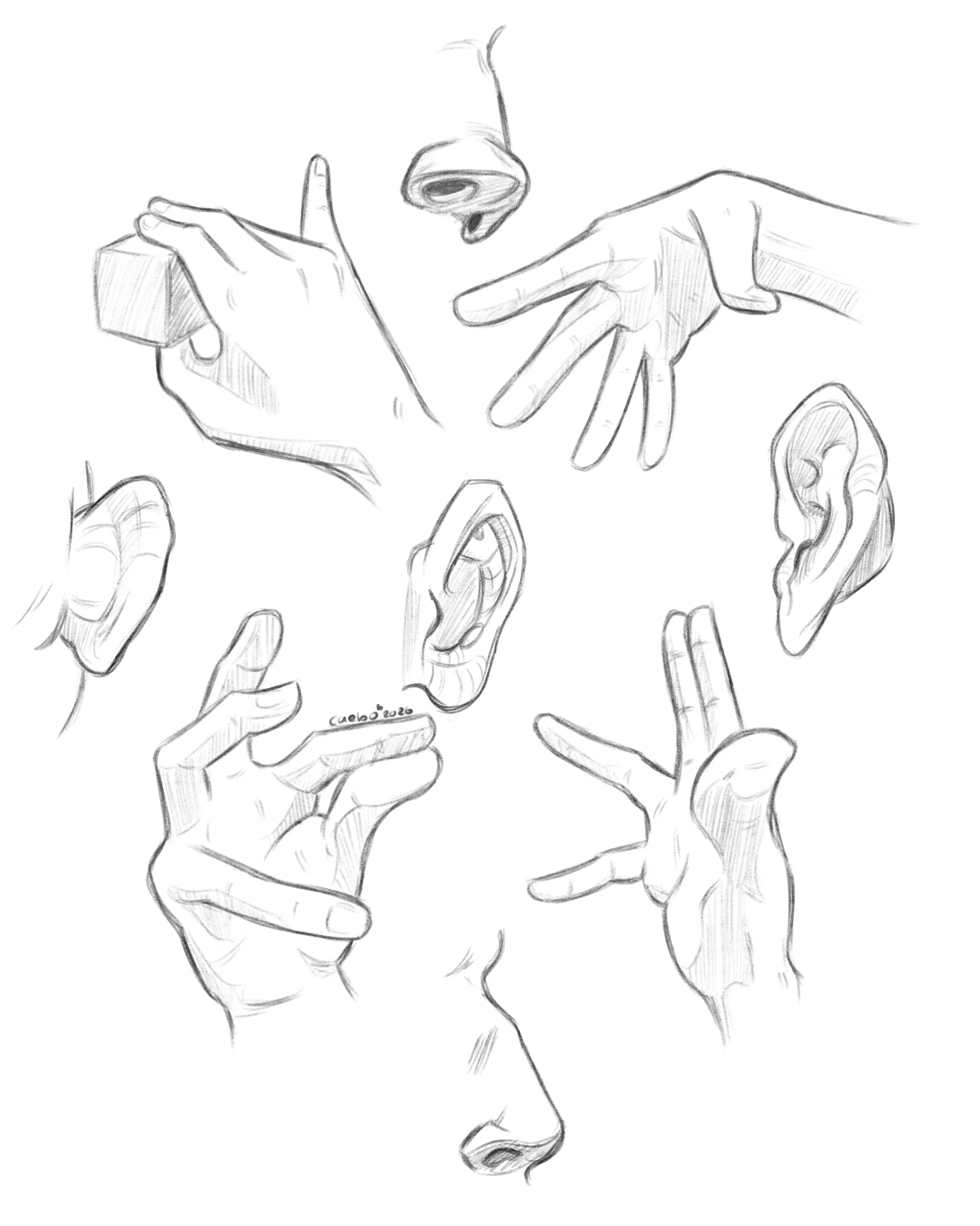 Practica manos q33.jpg