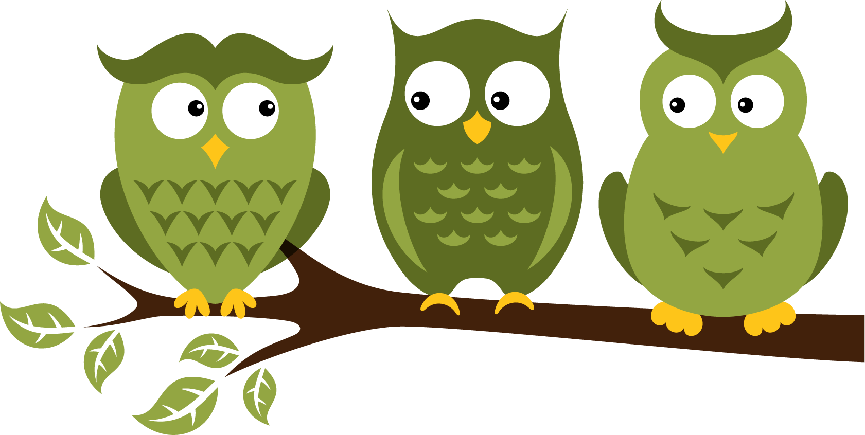 three parent owls talking