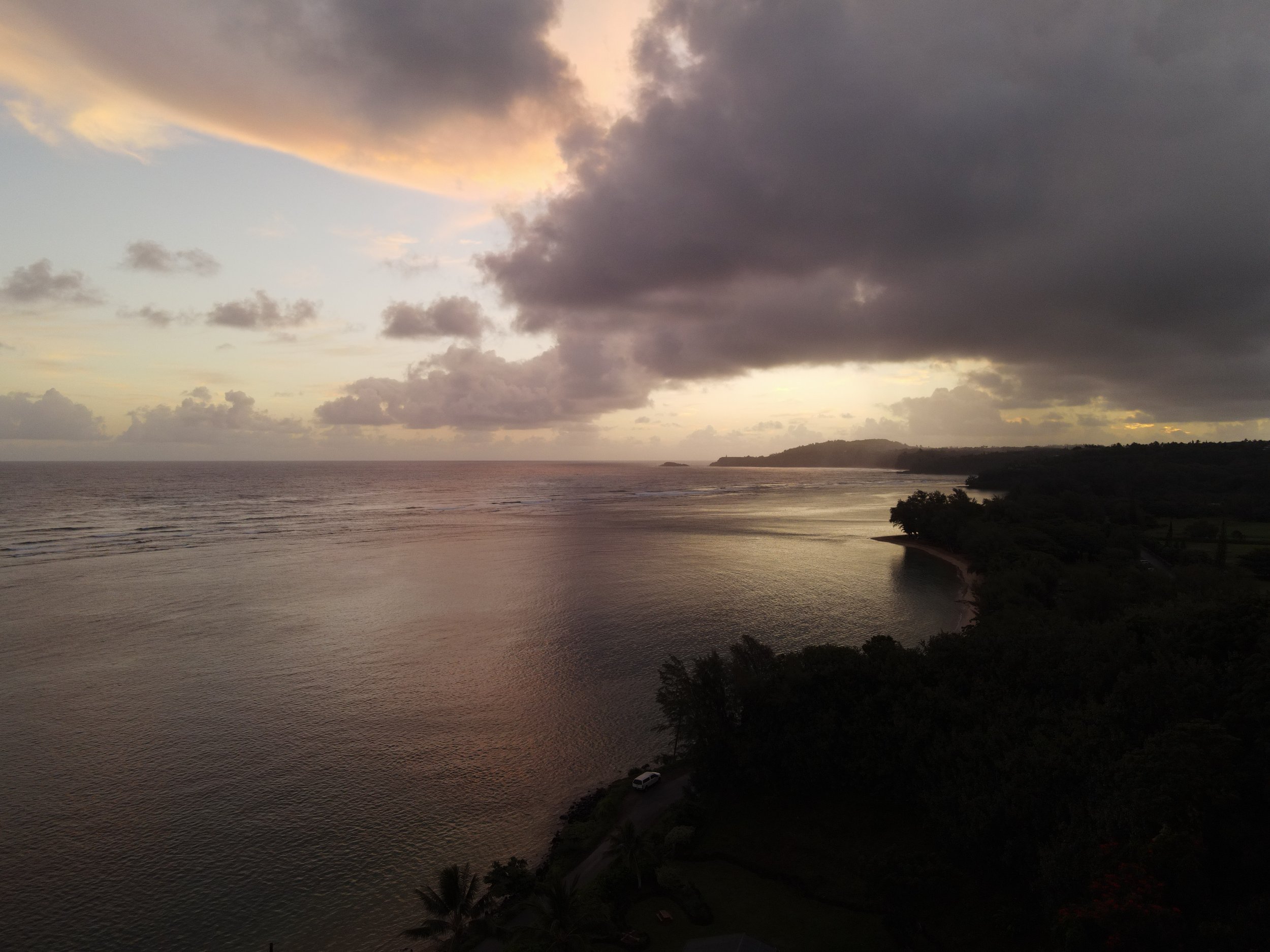 dji_fly_20221102_063910_5_1667408003706_photo.jpg
