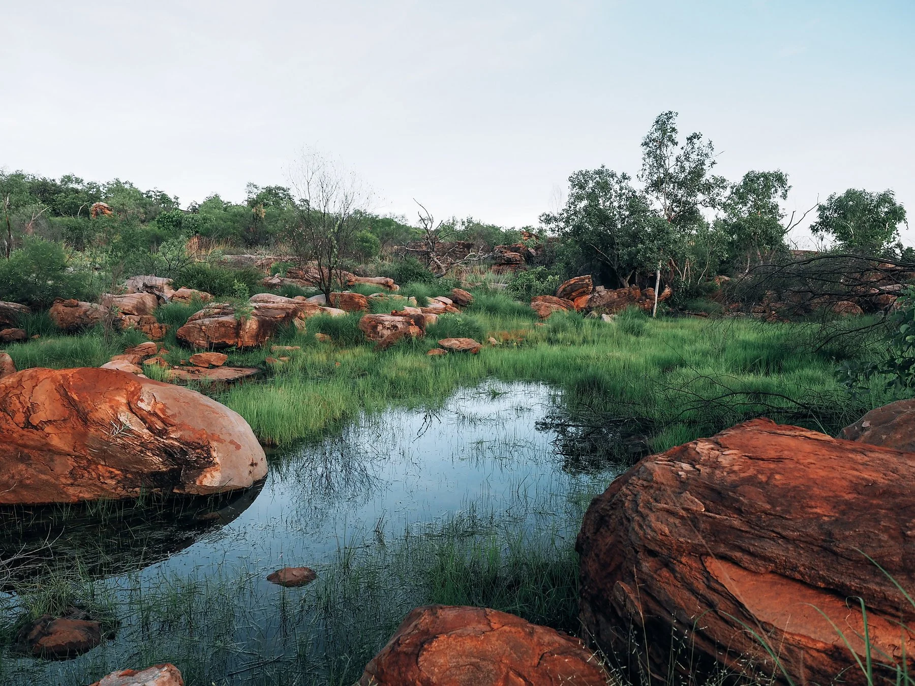 A small, still waterhole surrounded by lush green grasses and native shrubs, with large red sandstone rocks scattered throughout the landscape. Trees frame the scene under an overcast sky, creating a peaceful natural setting in the Australian bush.