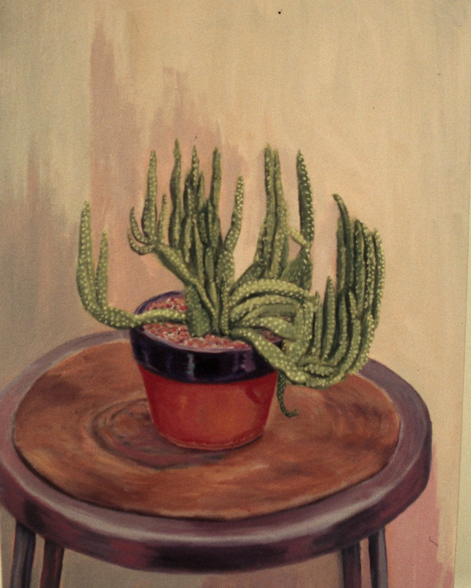 Expanding Cactus