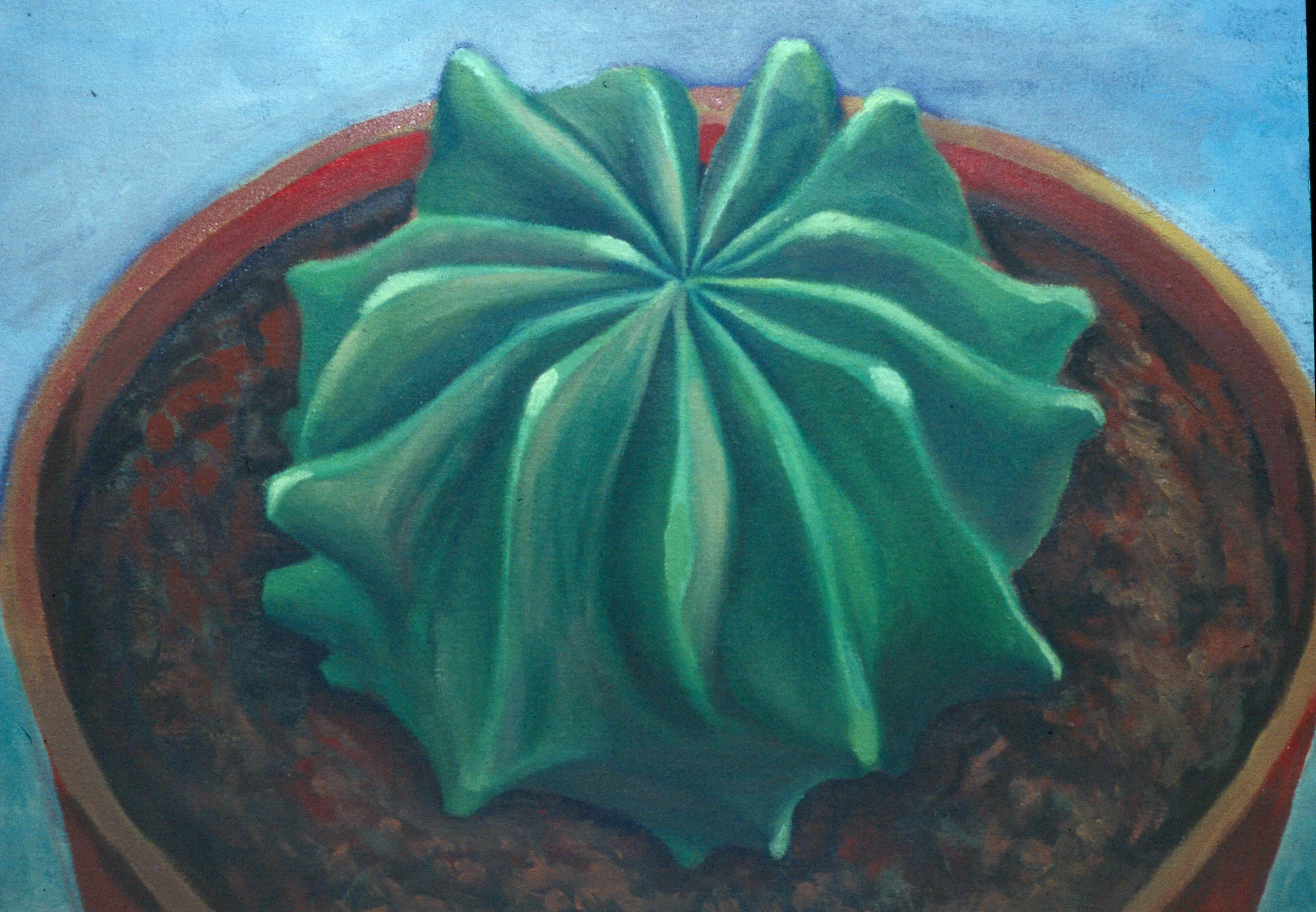 Cactus