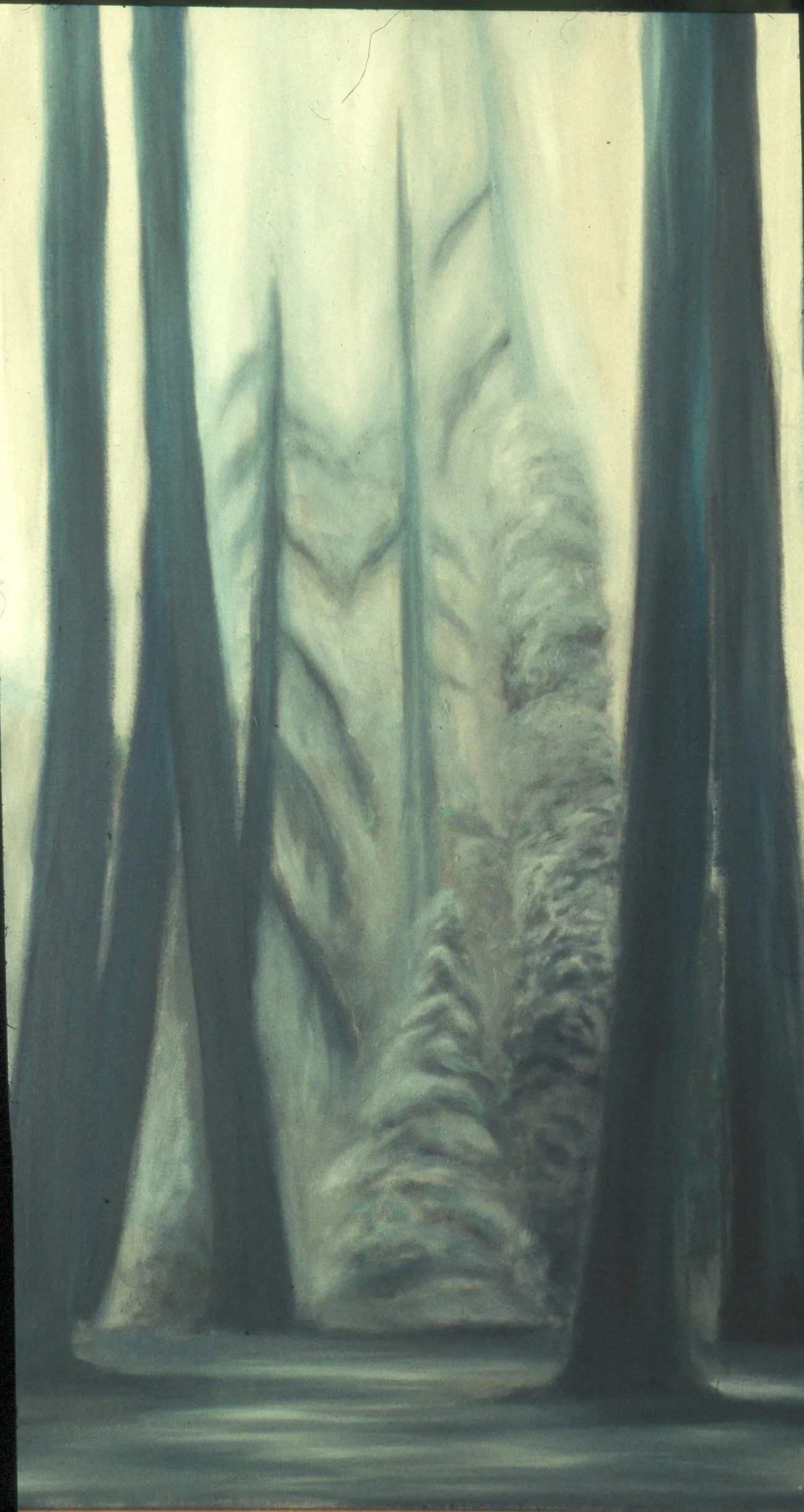 Woods