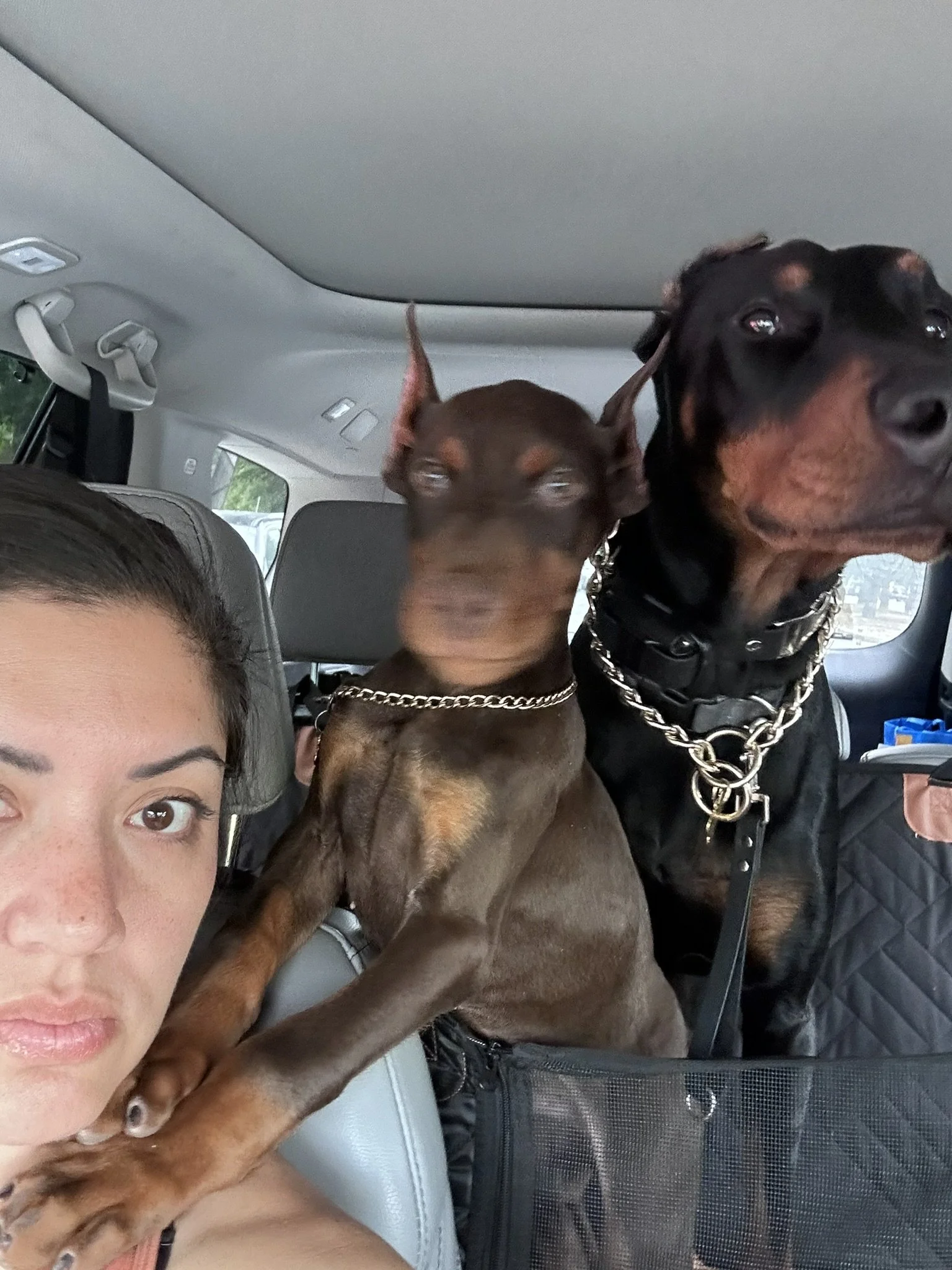 IMG_4741.JPEG