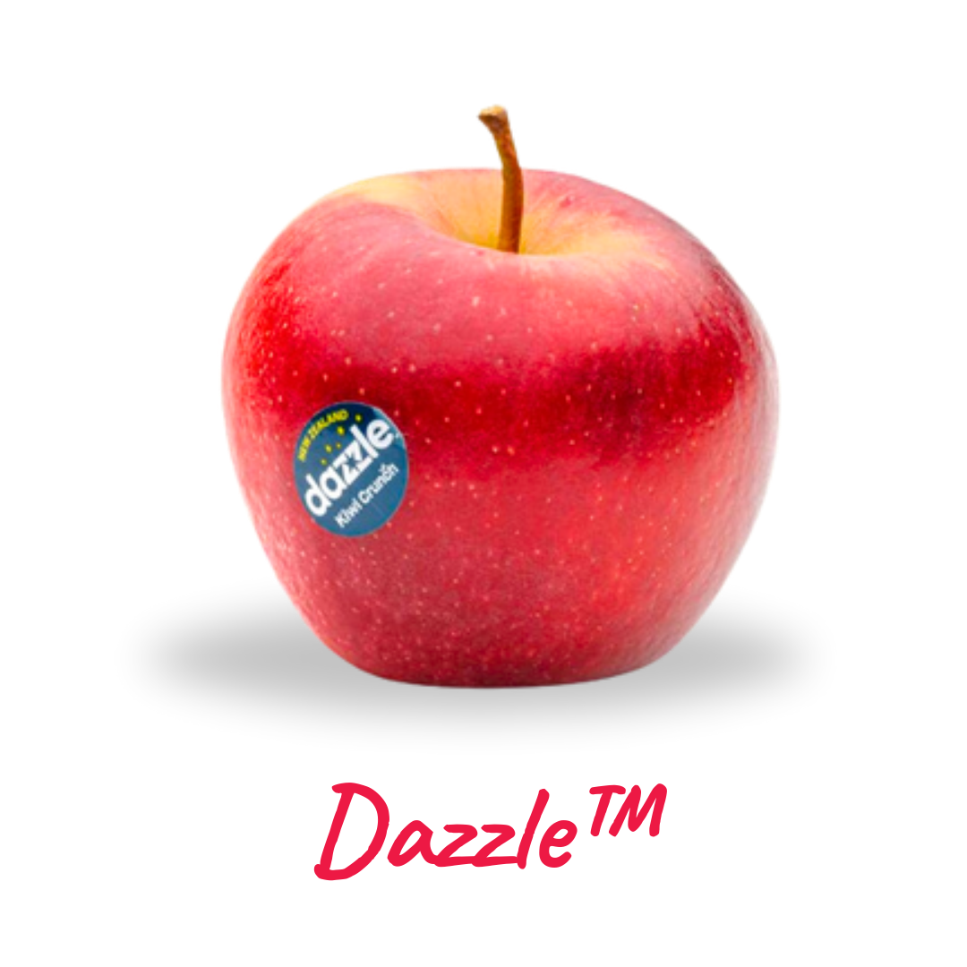 11.png