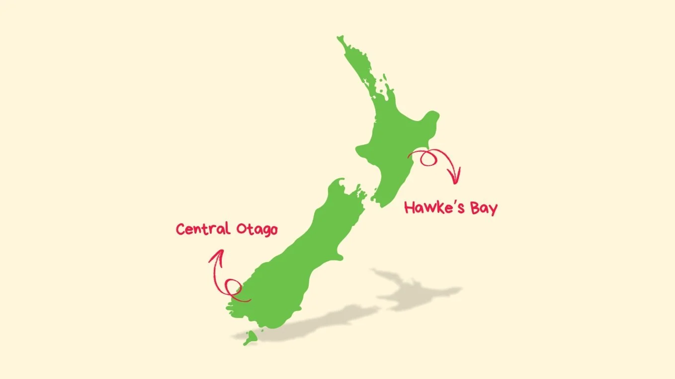 About Us Premium Apples Pears And Cherries Kiwi Crunch about-us-premium-apples-pears-and-cherries-kiwi-crunch