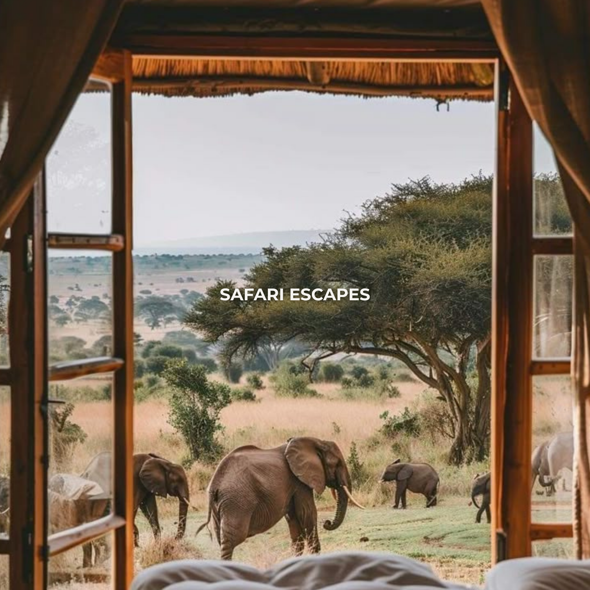 View from a bed inside a safari tent showing elephants grazing outside amidst trees and open plains.