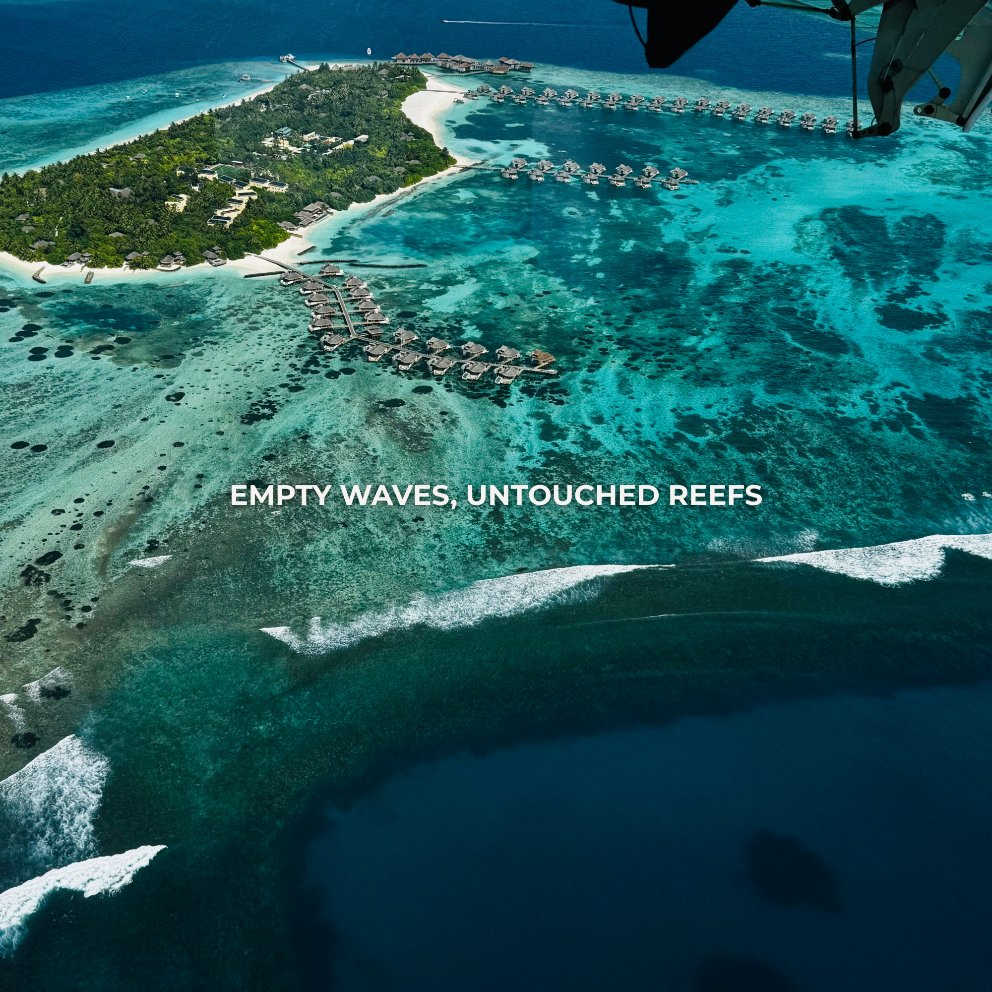Person climbing a leaning palm tree on a beach with clear water and blue sky.