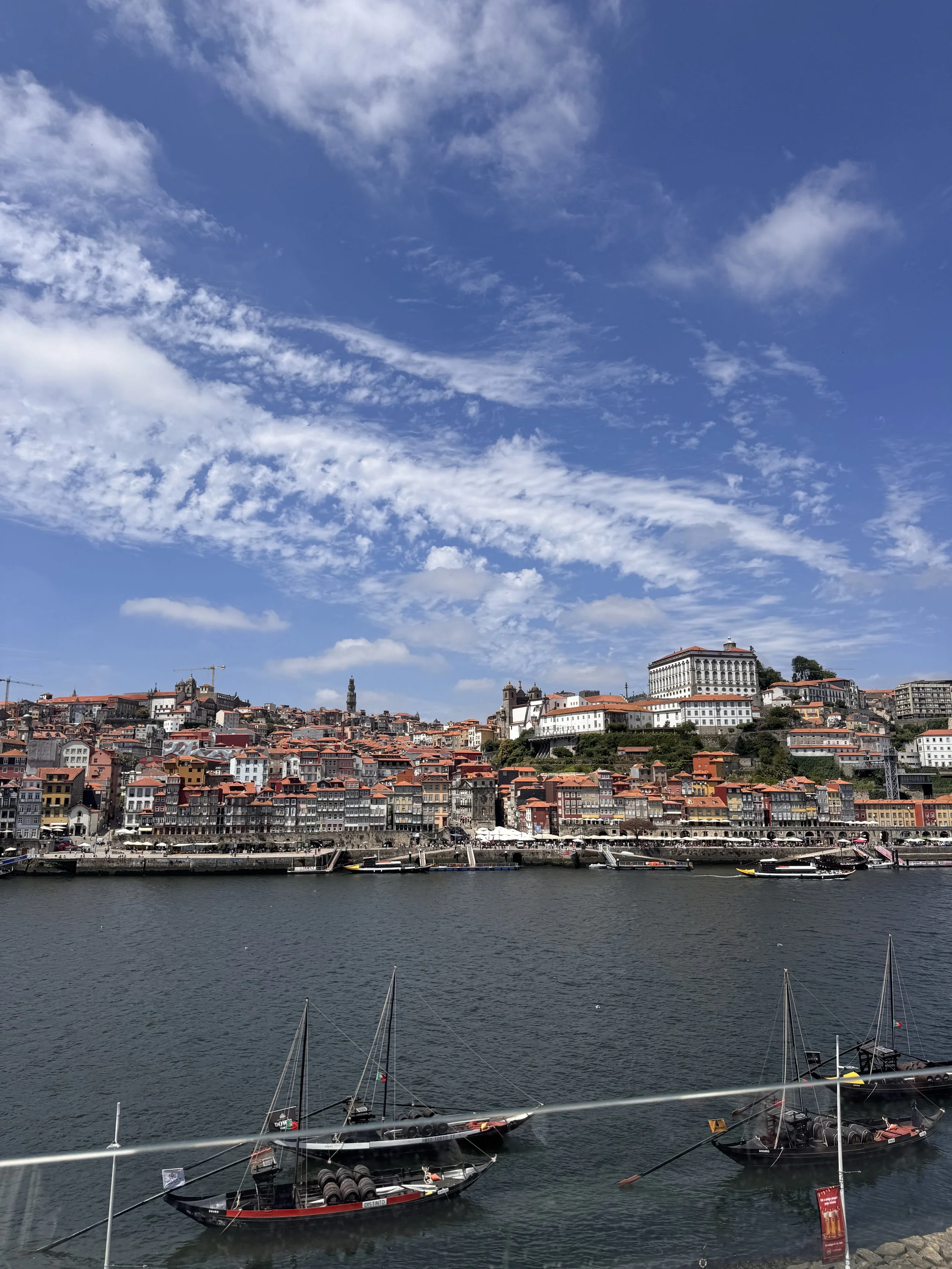 Cityscape along a river with boats, numerous buildings with red rooftops, and a cloudy sky.