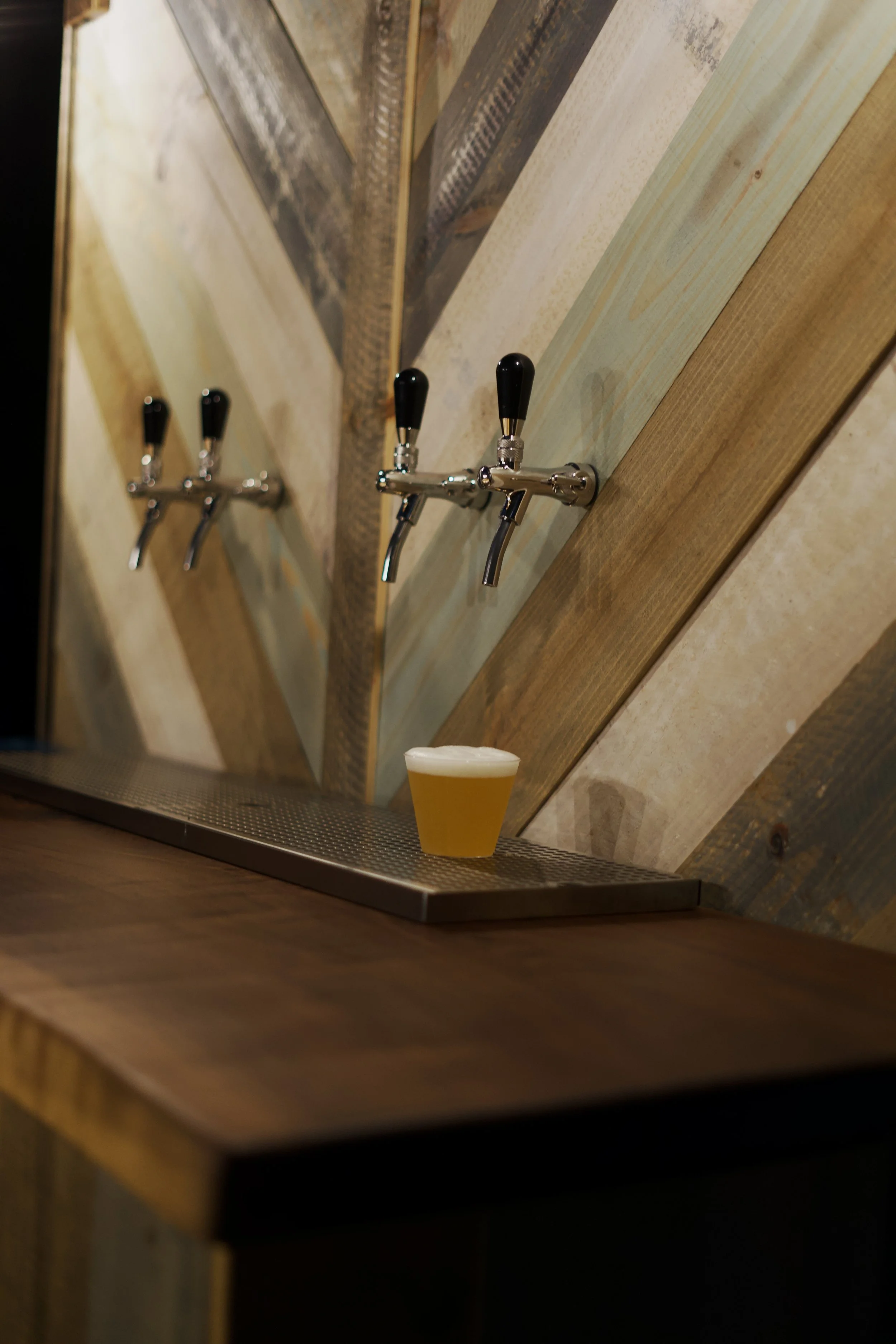 A wall with three beer taps and a small plastic cup of beer on a wooden bar.
