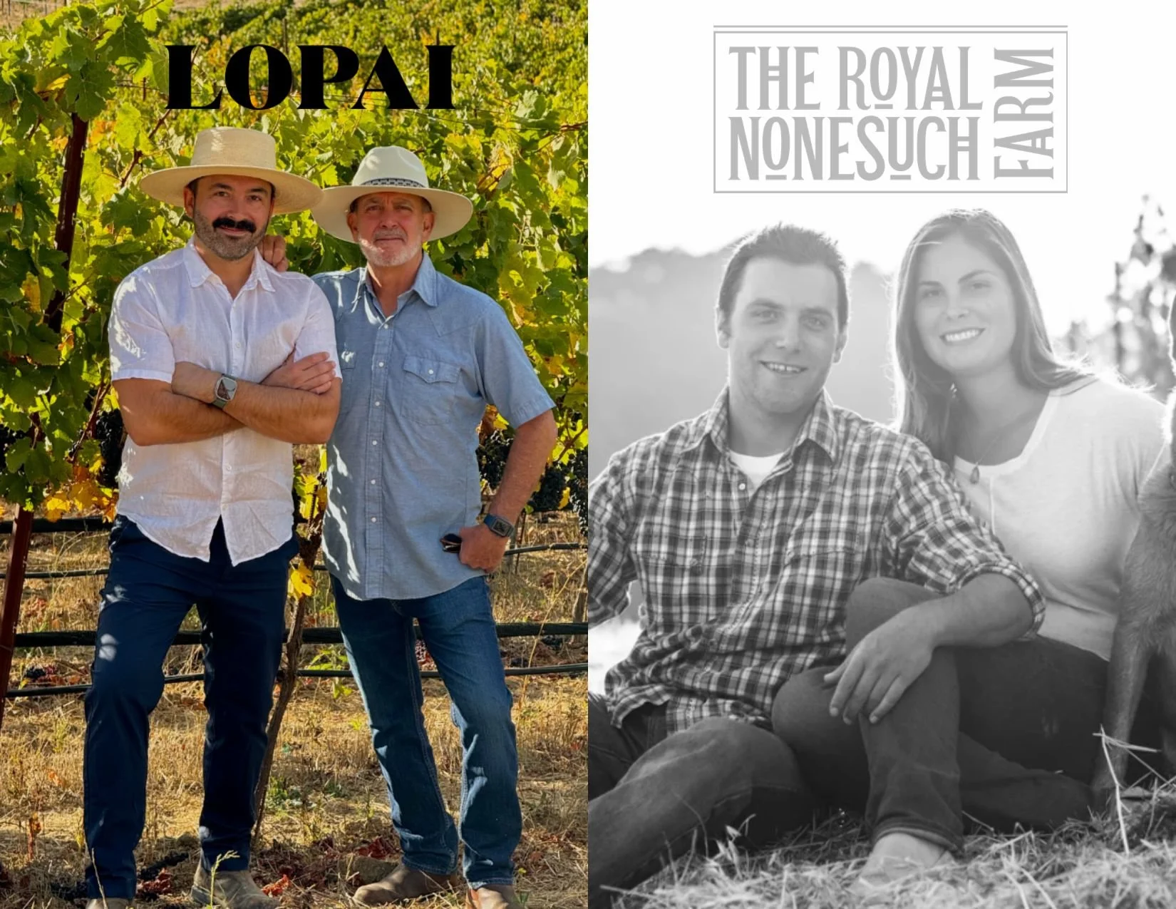 Lopai Cellars &amp; The Royal Nonesuch Farm