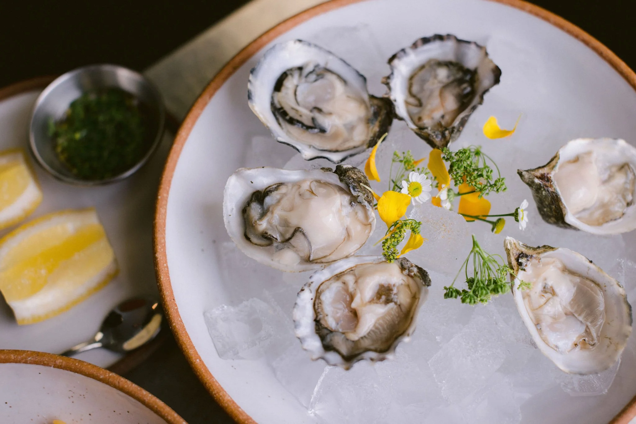 Oysters.jpg