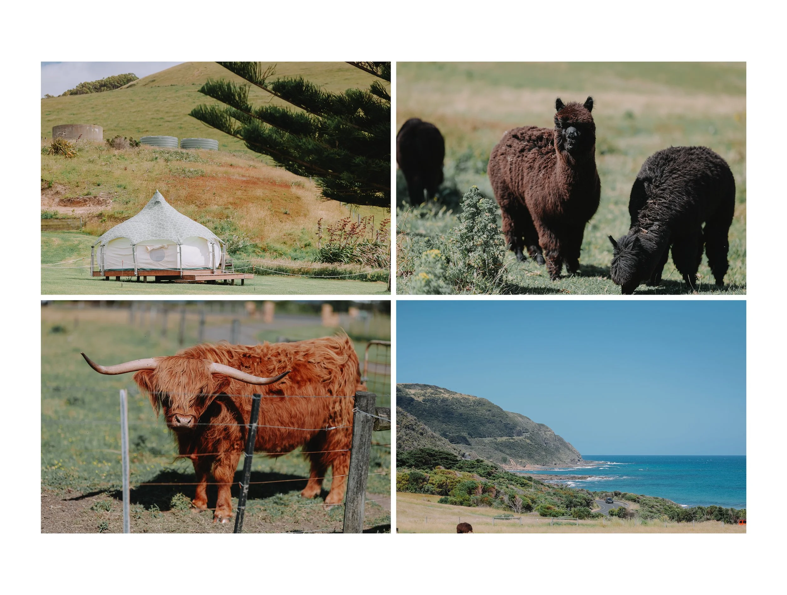 My New Project_11.jpg