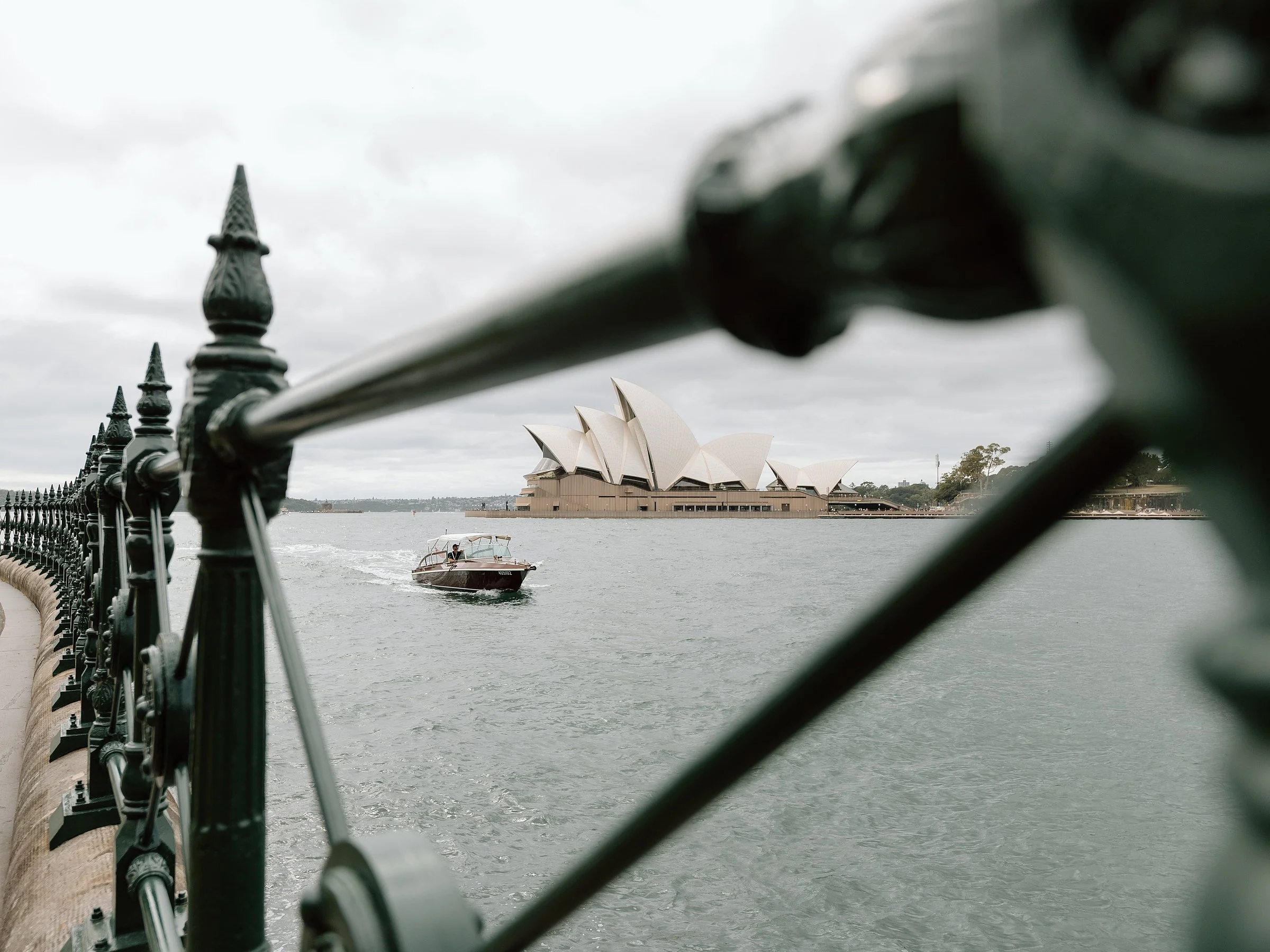 My New Project_04.jpg