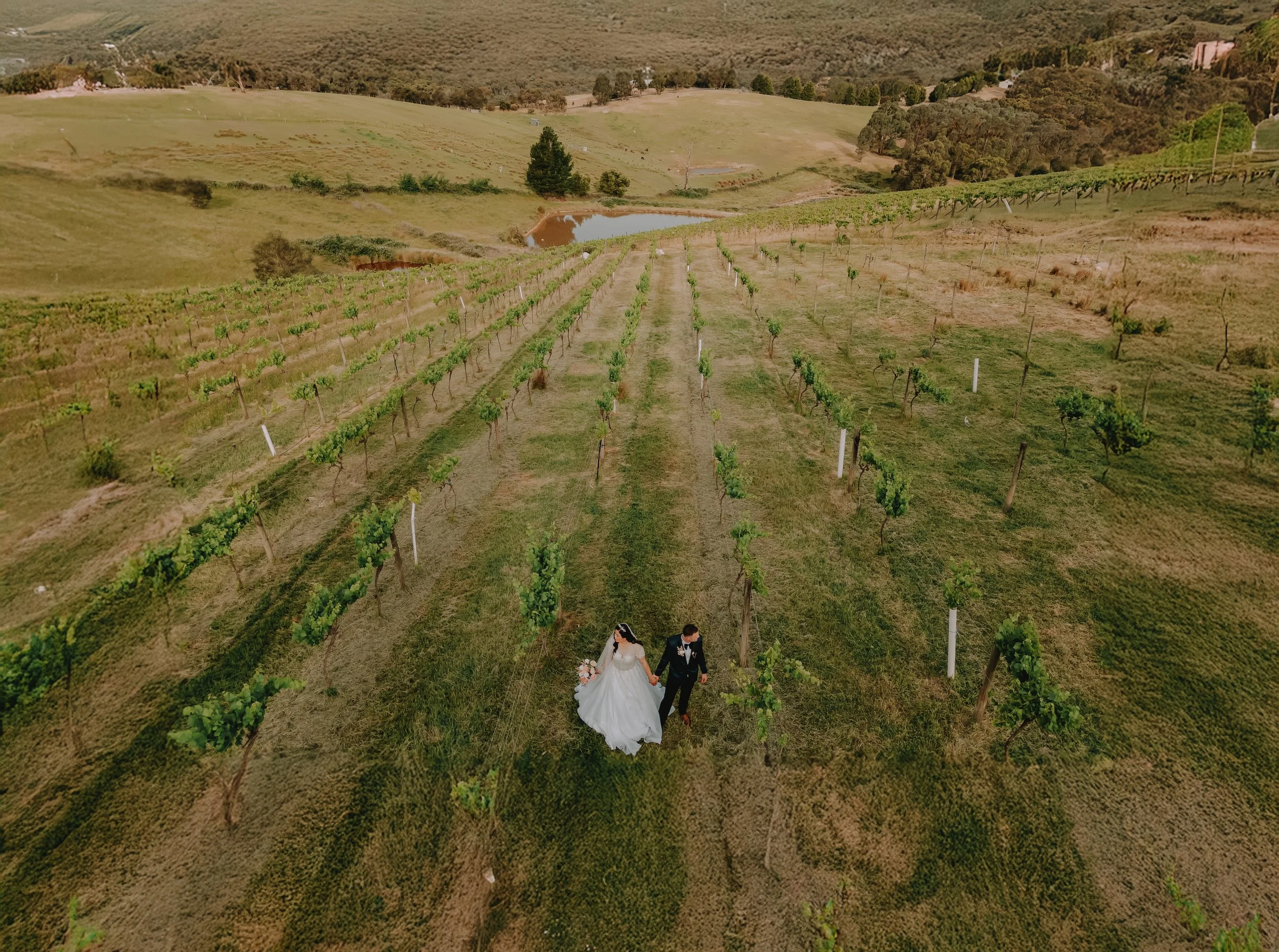 DJI_0511-Edit copy 3.jpg