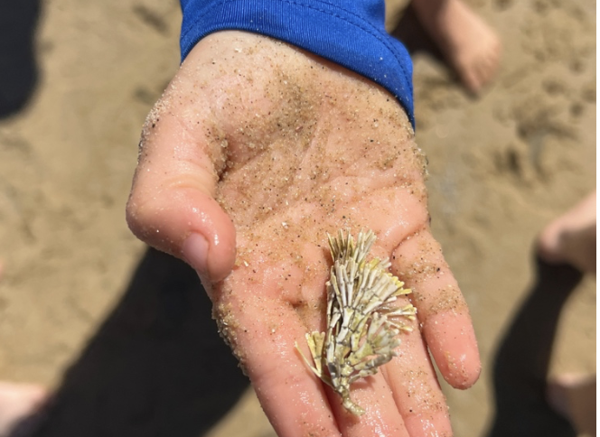 Screenshot 2025-12-07 at 3.22.26 pm.png