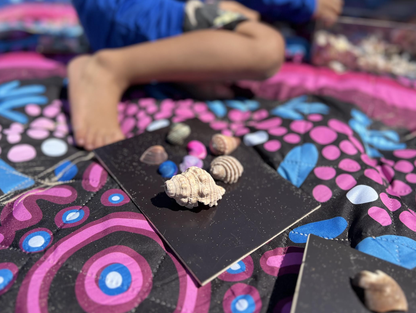 Sunshine, Learning, and Beach Adventures 