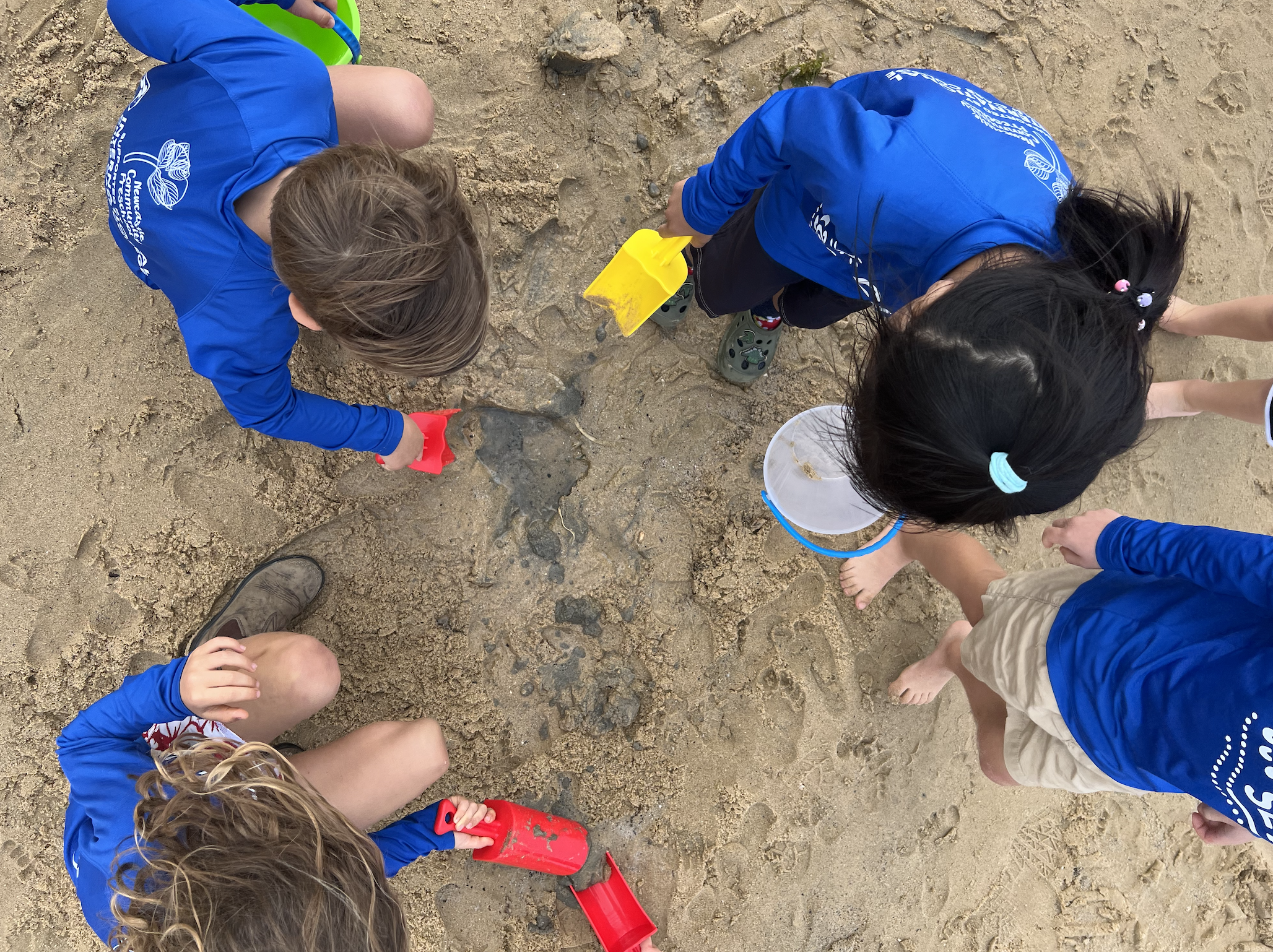 Screenshot 2025-12-10 at 7.56.09 pm.png