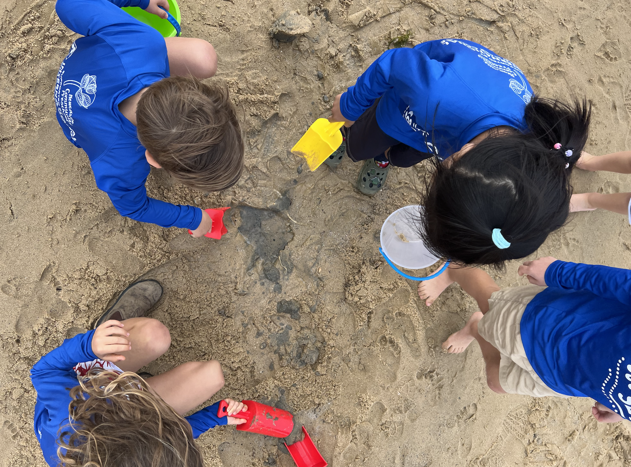 Screenshot 2025-12-10 at 7.58.51 pm.png