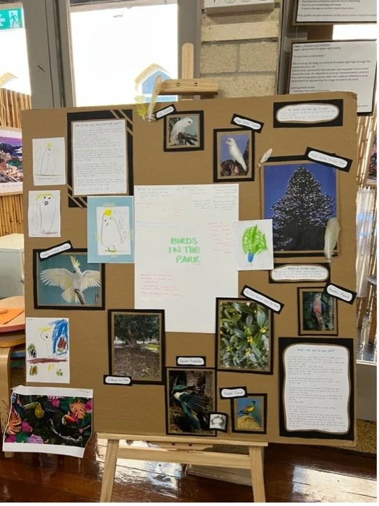 Who Are Those Noisy, Messy Birds in the Park ?