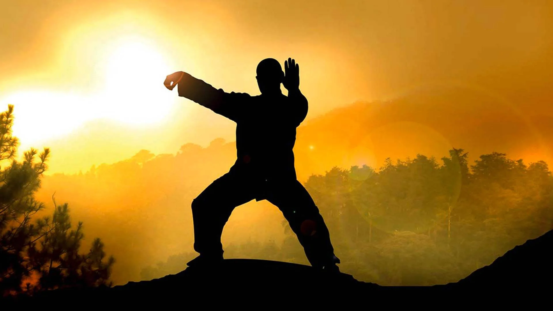 August 9th Morning Walk and Tai Chi in the Park