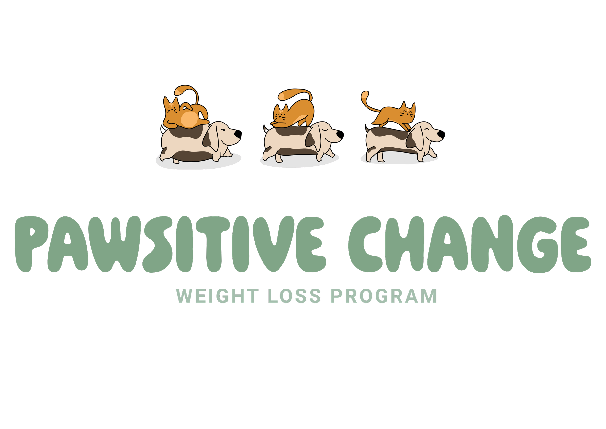 Graphic for Pawsitive Change Weight Loss Program featuring cartoon dogs and cats with text.