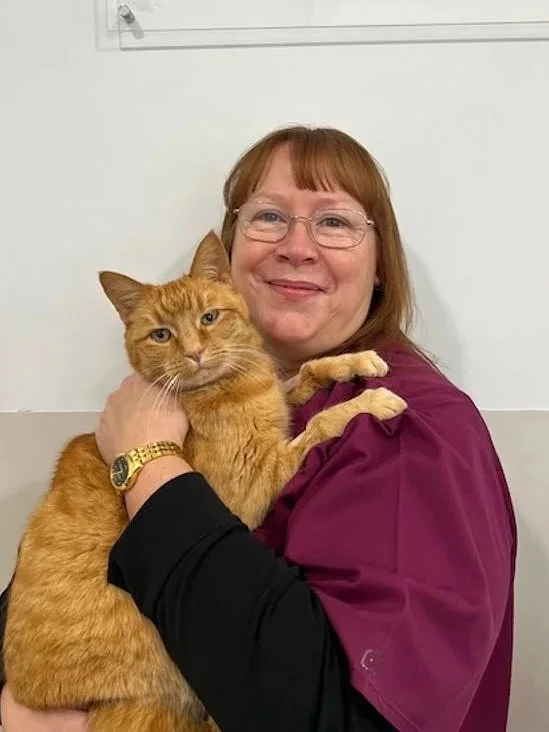 A man with curly dark hair, glasses, and facial hair looking thoughtful, wearing a dark sweater.