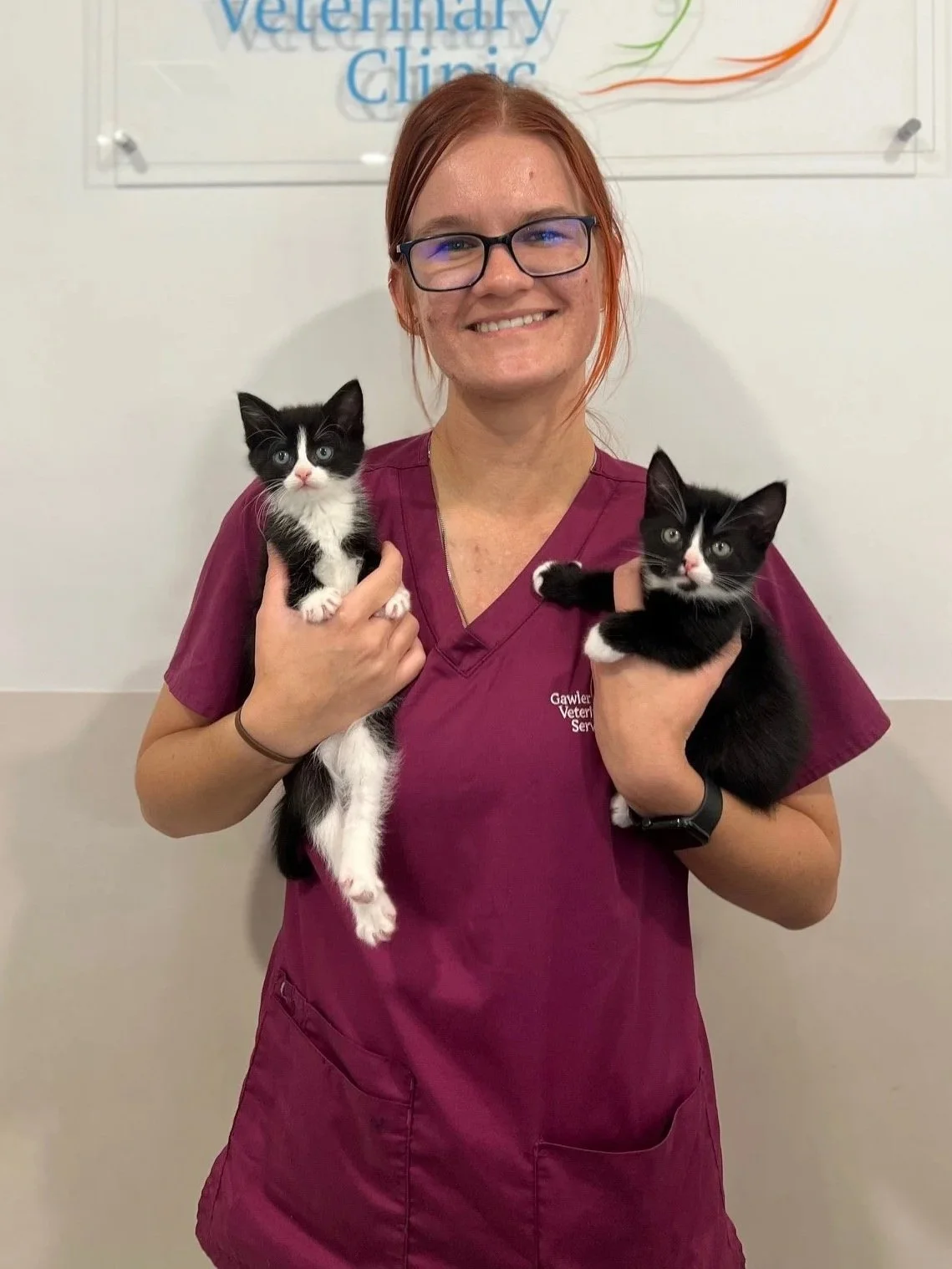 A woman in maroon scrubs holding two black and white kittens, standing in front of a sign for Gawler Veterinary Clinic with a white wall and green plant in the background.
