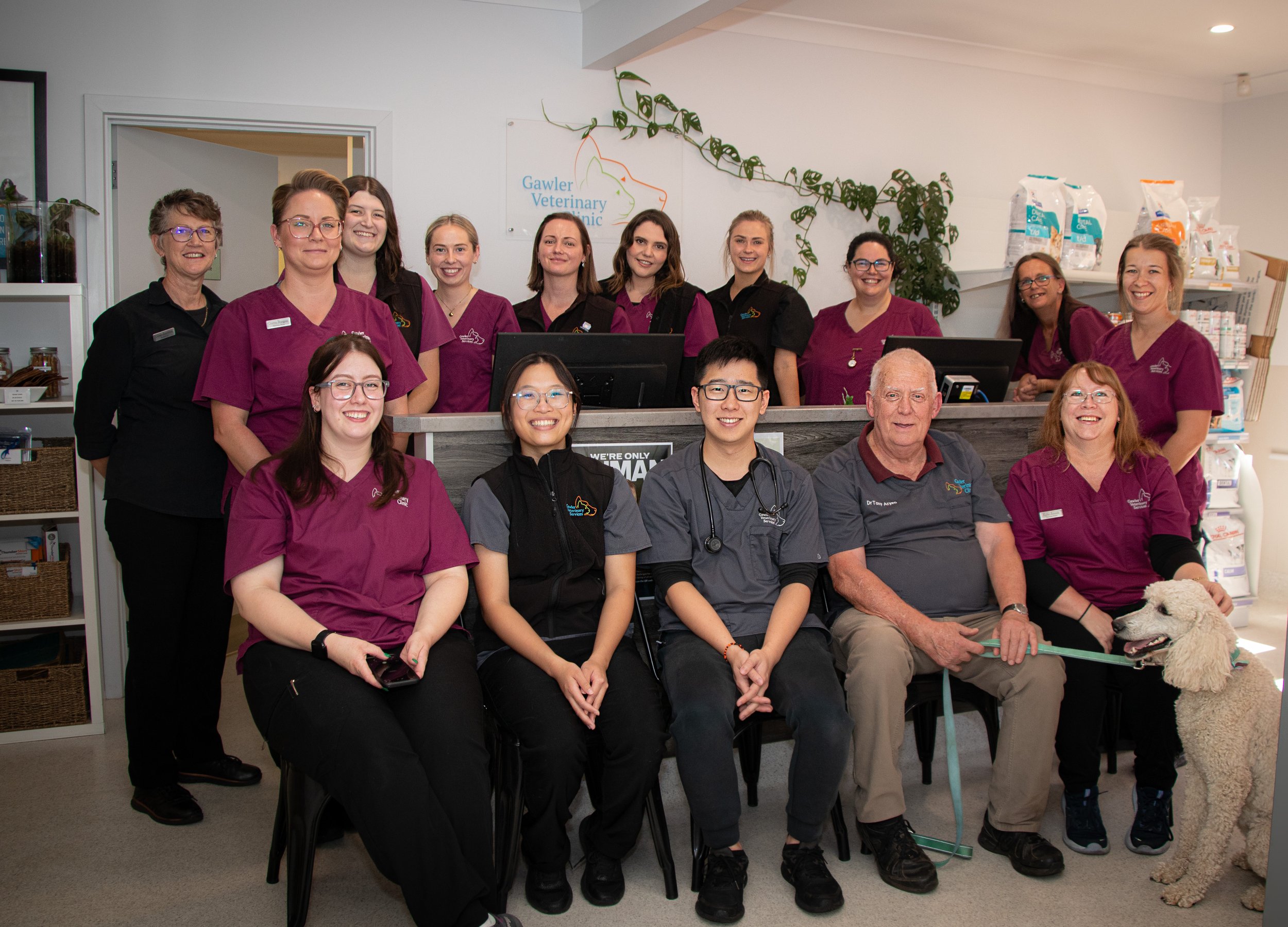 Group photo of veterinary clinic staff, including veterinarians, technicians, and support staff, with one patient dog, inside a veterinary clinic reception area.