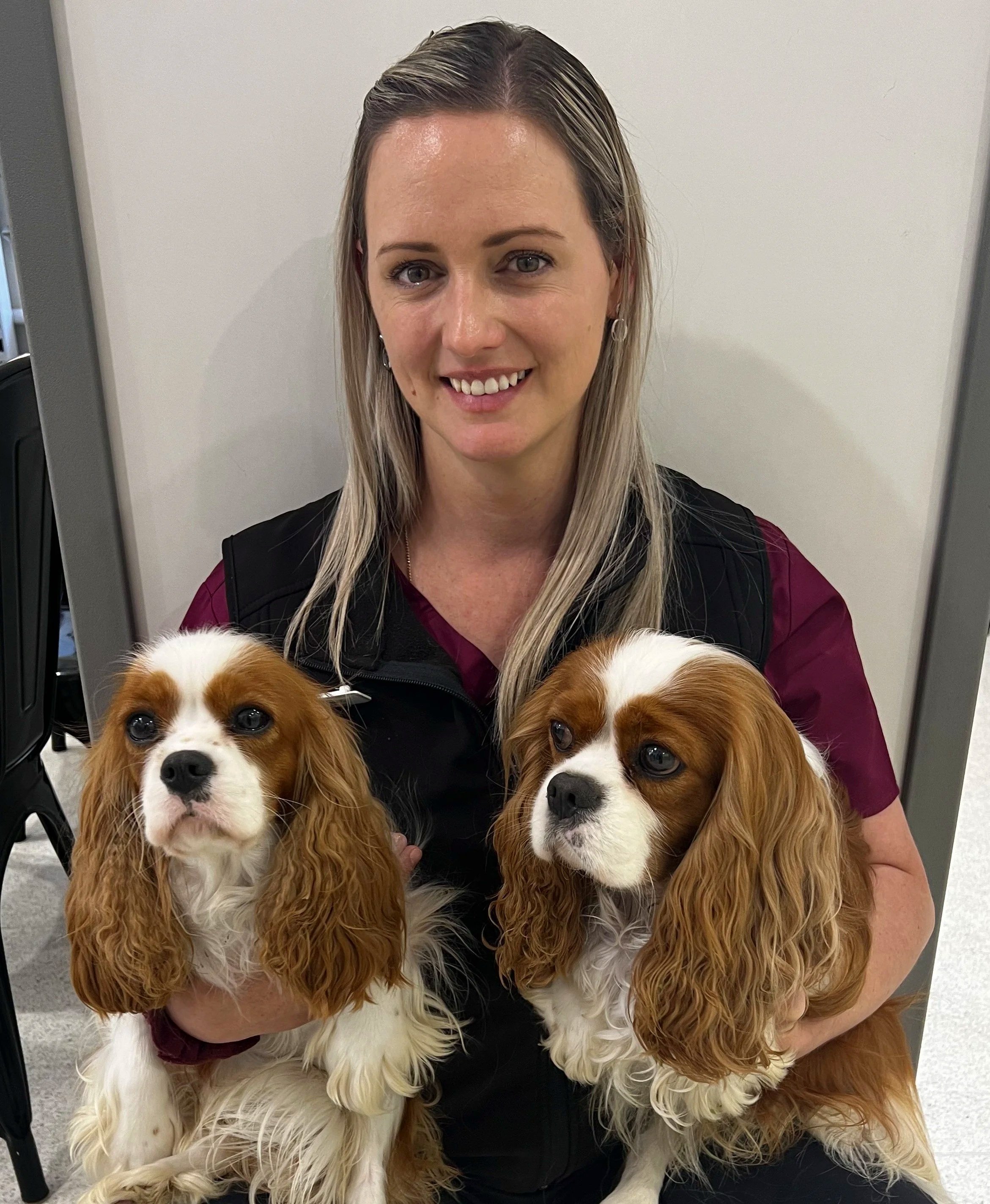 A woman with blonde hair smiling while holding two Cavalier King Charles Spaniel puppies with white and brown fur.