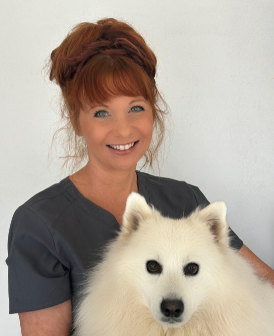Close-up of a man with dark curly hair and glasses, wearing a dark green sweater, sitting indoors with a neutral background.