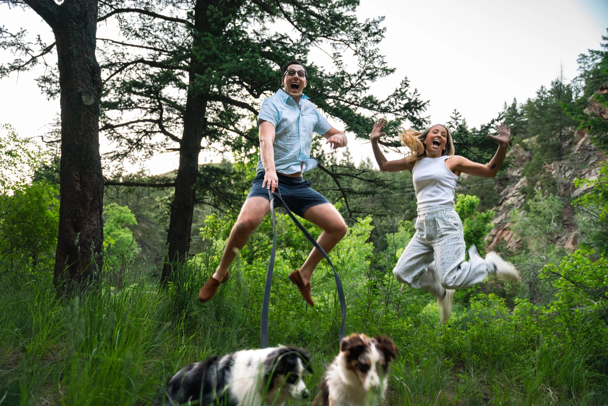 A very fun mid-air shot, with a newly engaged couple jumping and smiling.  They are with their dogs, and in the lush forest in El Dorado Canyon in Colorado.
