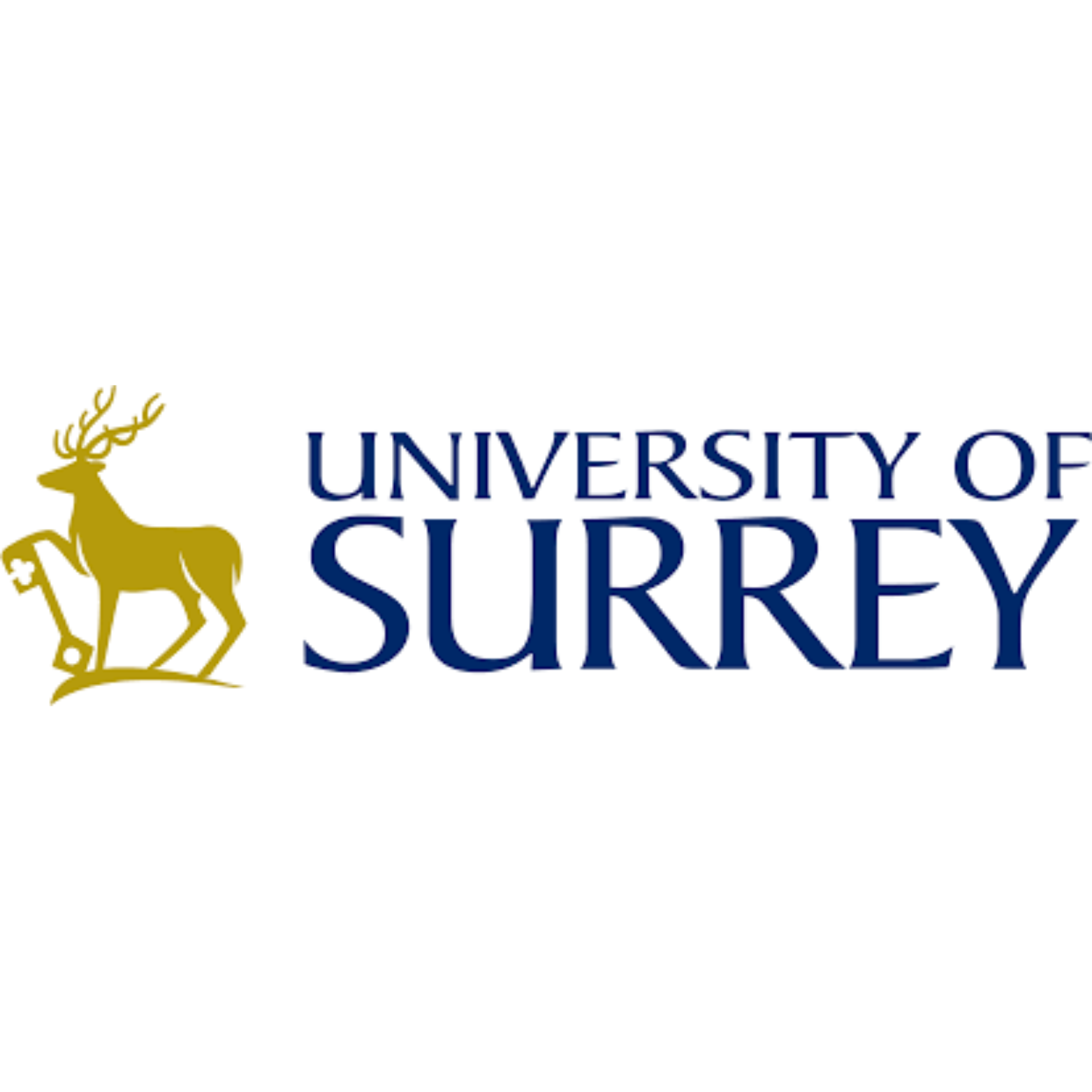University of Surrey.png