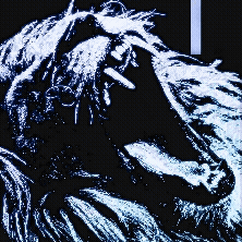 Close-up of a crocodile's head with open mouth showing teeth, in dark monochrome tones.