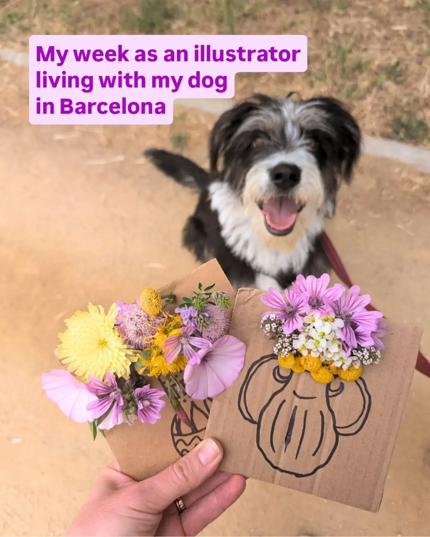 This week really took a turn 🥲 much more dog-oriented and waaaaay less time to work, but what can you do when your best buddy needs you?

 Very grateful for the care Frida got at @centroveterinarioripollet, for phone calls from mom, for enough @turr