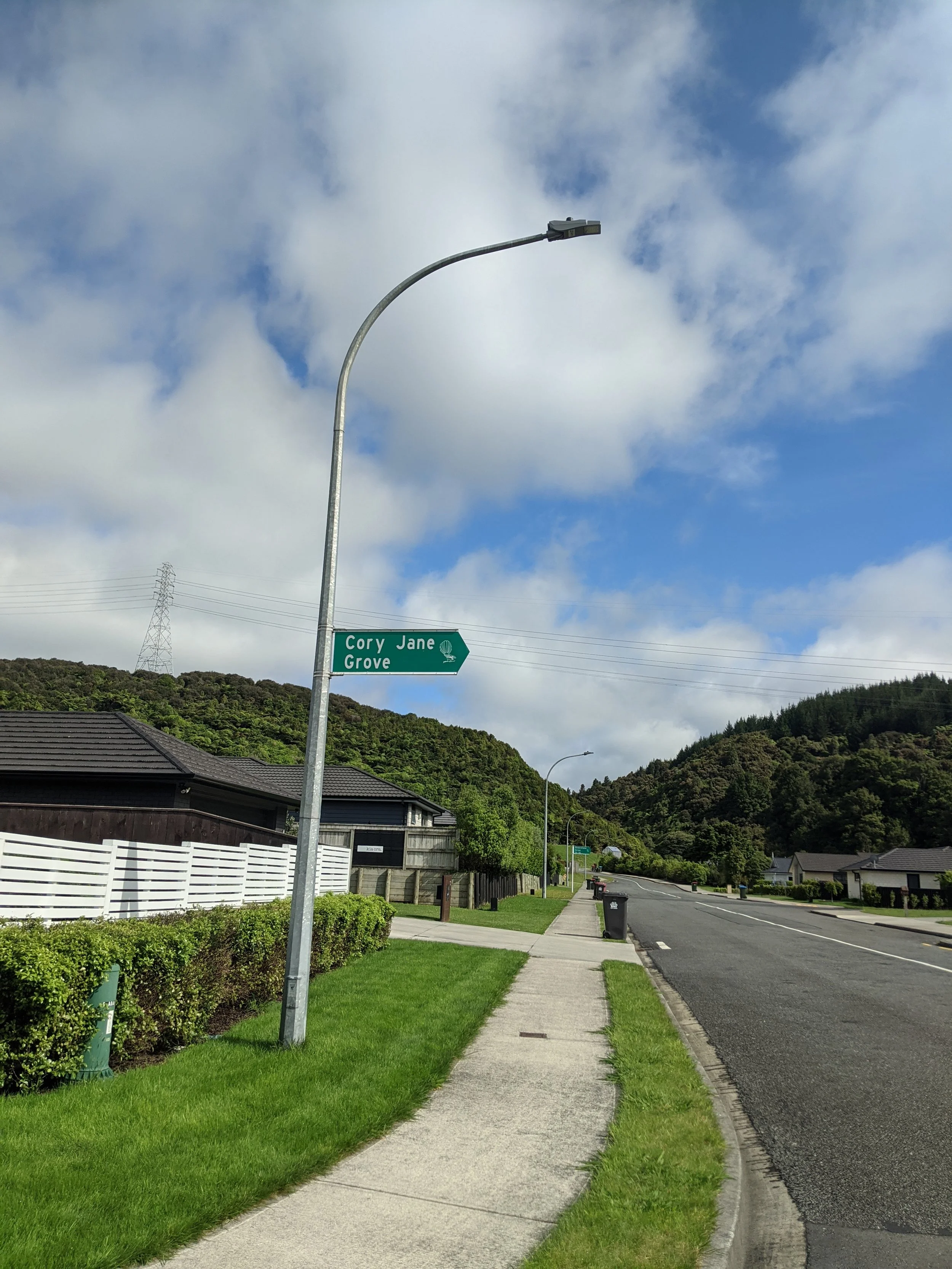 A street corner with a lamppost, green street sign reading 'Cory Jane Grove', residential houses, neatly trimmed grass, hill with trees in the background, cloudy sky.
