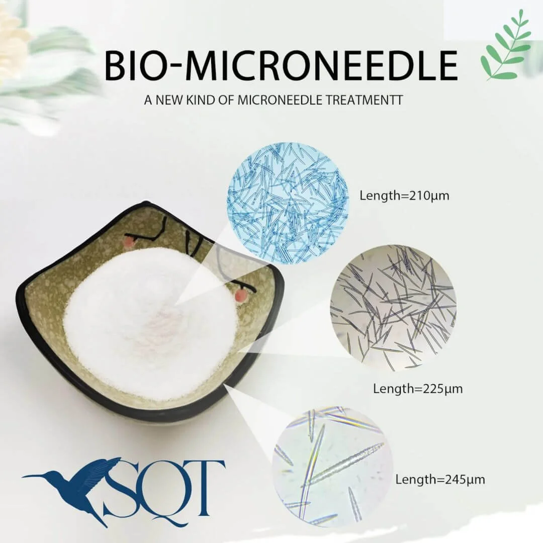 sqt-bio-microneedle-2.jpg