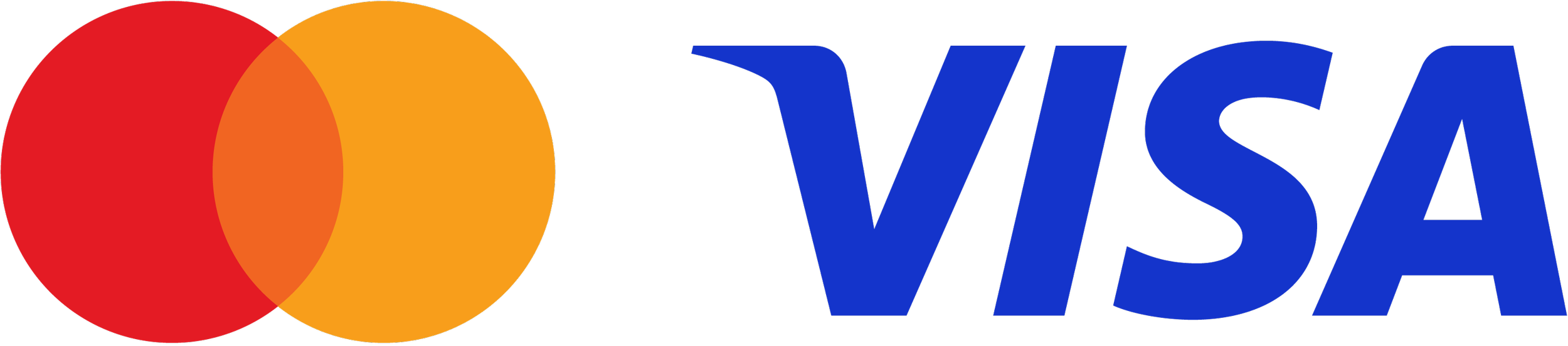 Visa and Mastercard payment options